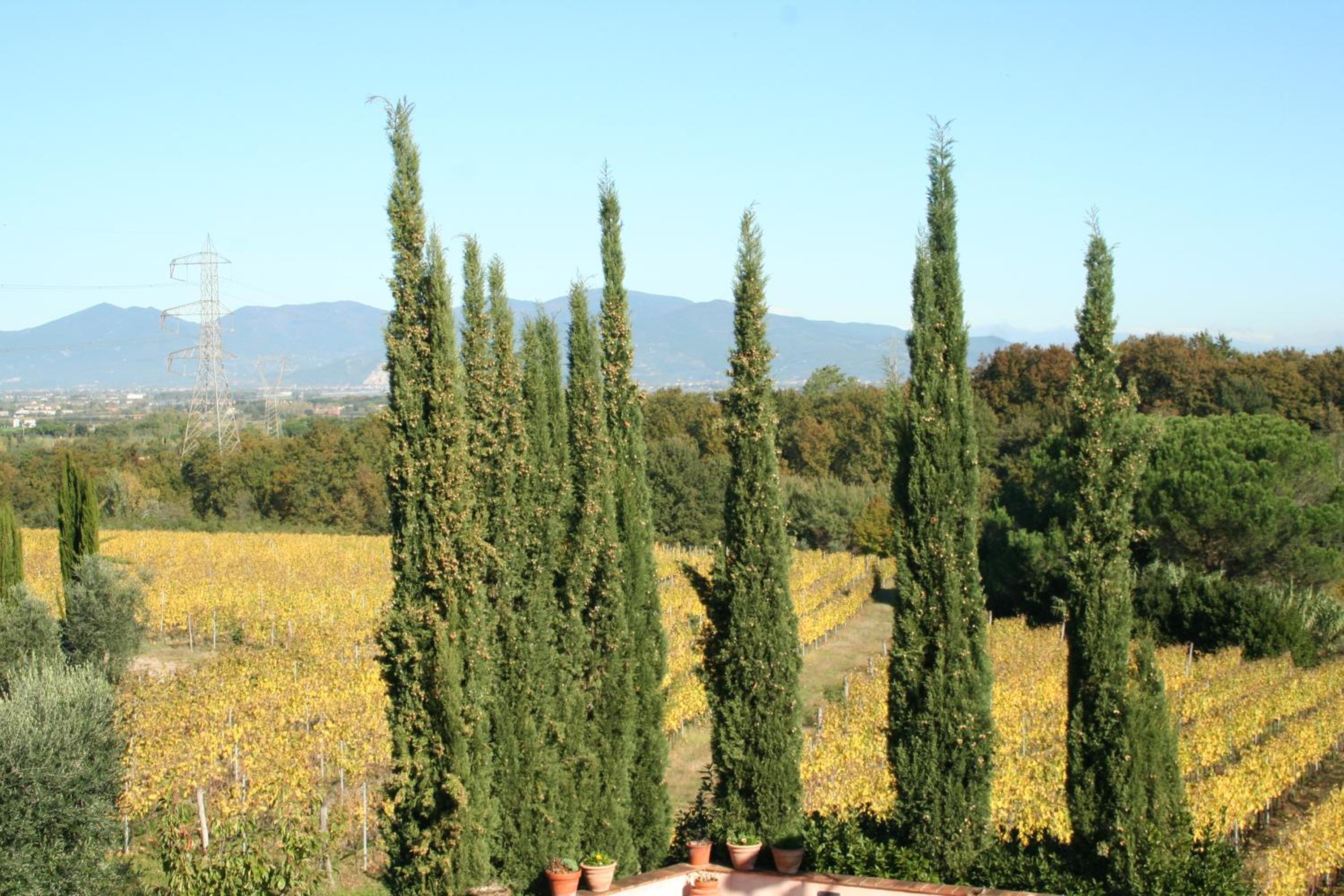 Agriturismo Gli Archi
