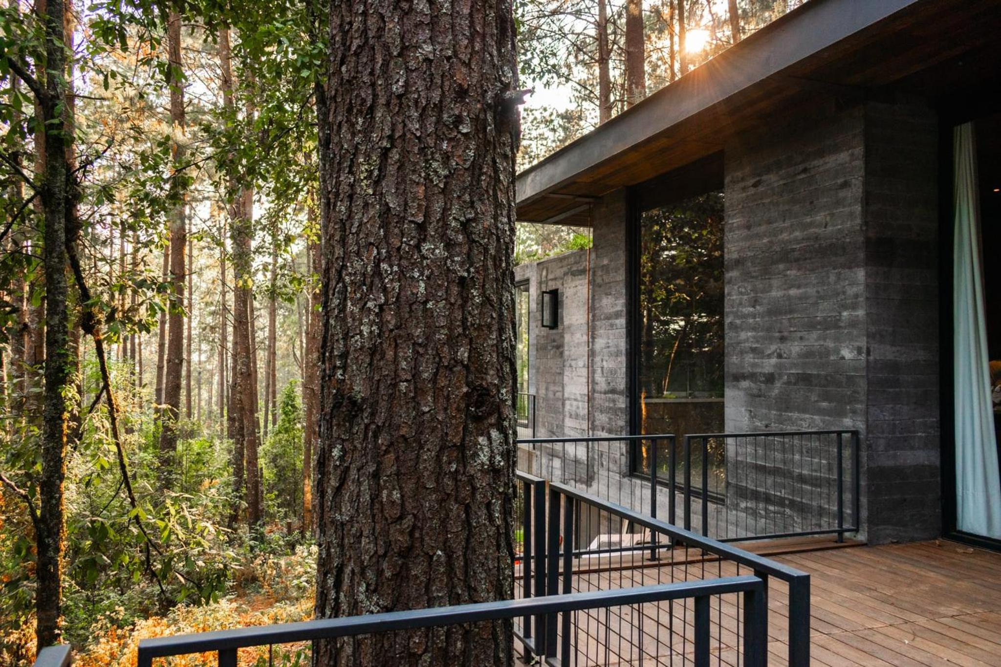 Espectacular Casa de lujo en el Bosque