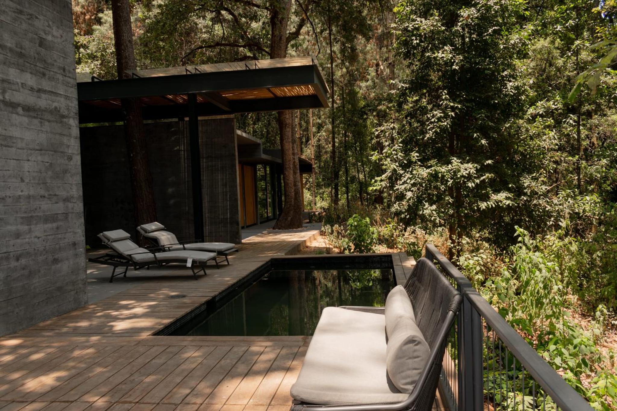 Espectacular Casa de lujo en el Bosque