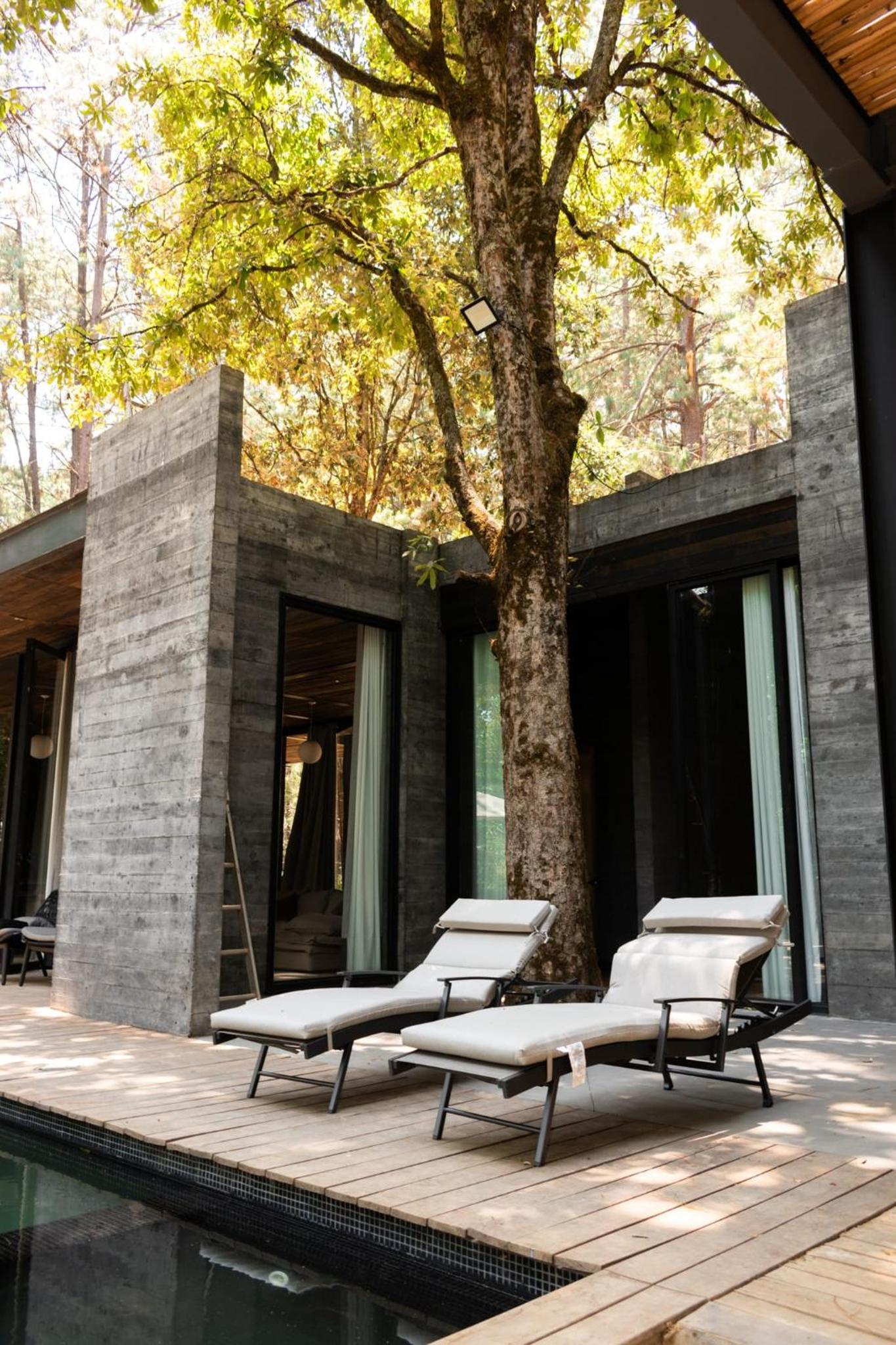Espectacular Casa de lujo en el Bosque