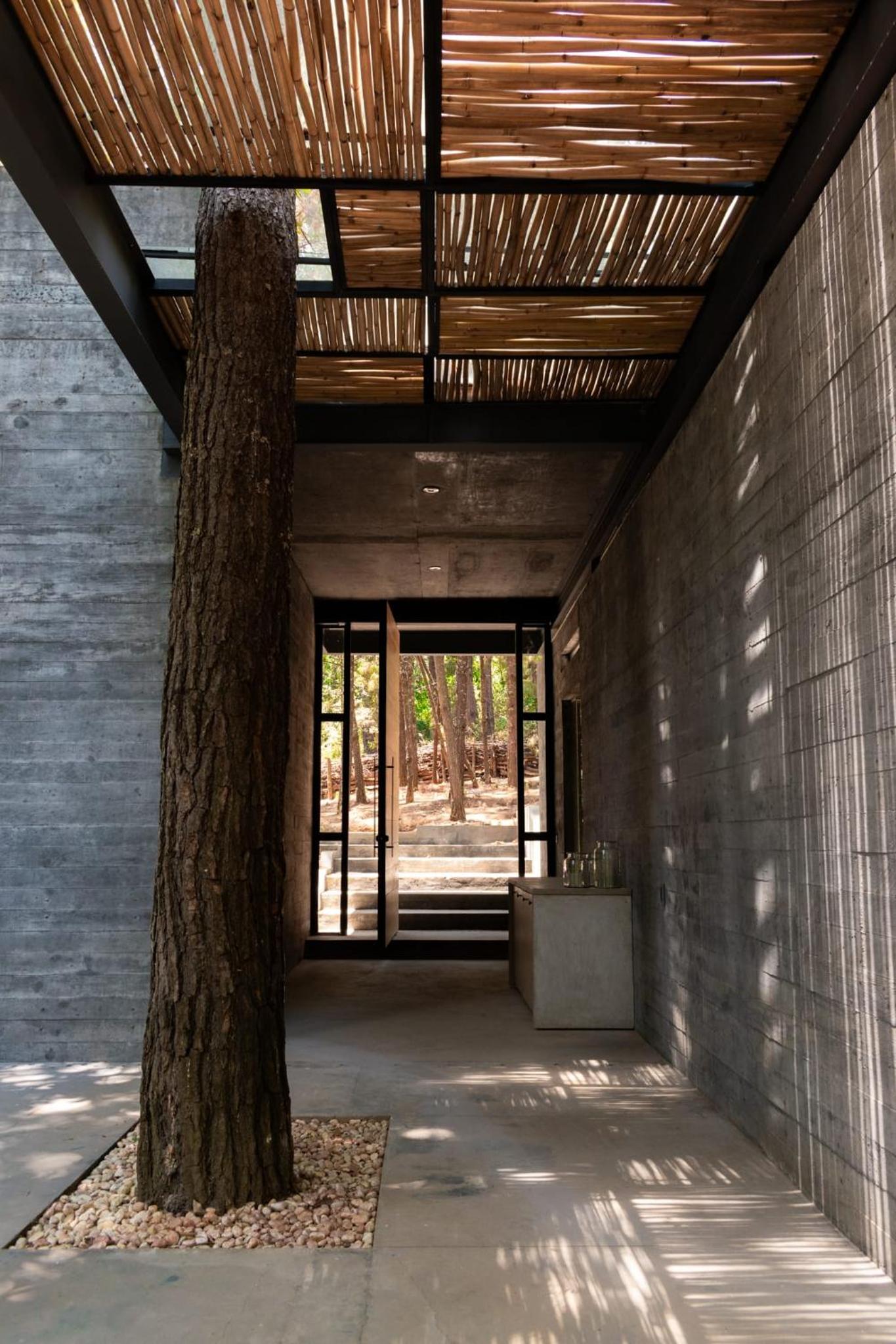 Espectacular Casa de lujo en el Bosque
