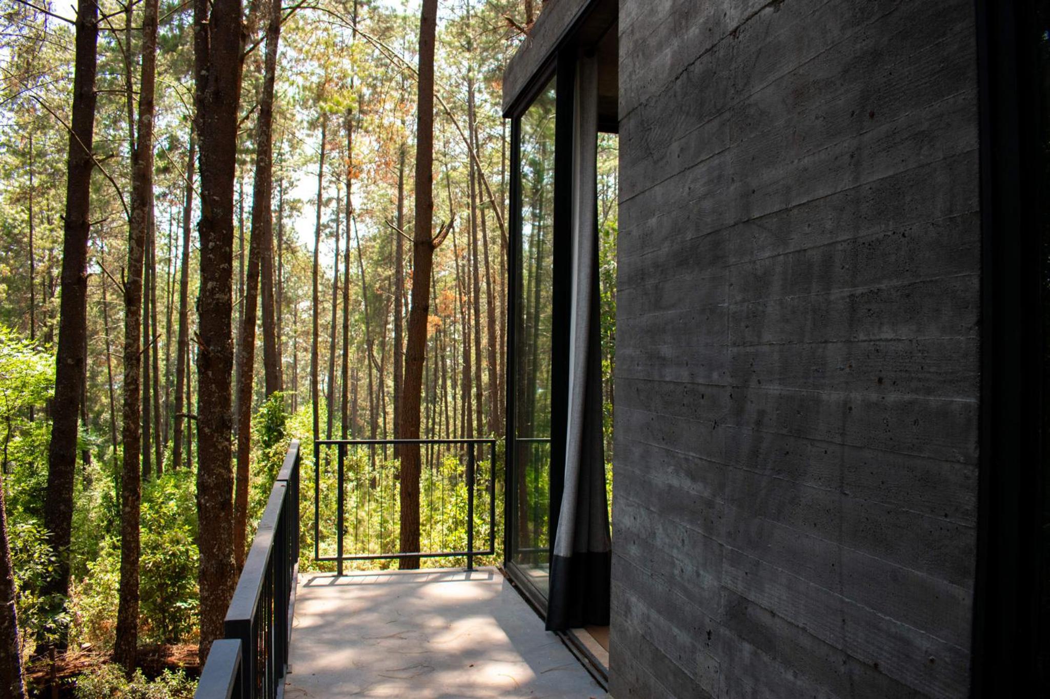 Espectacular Casa de lujo en el Bosque