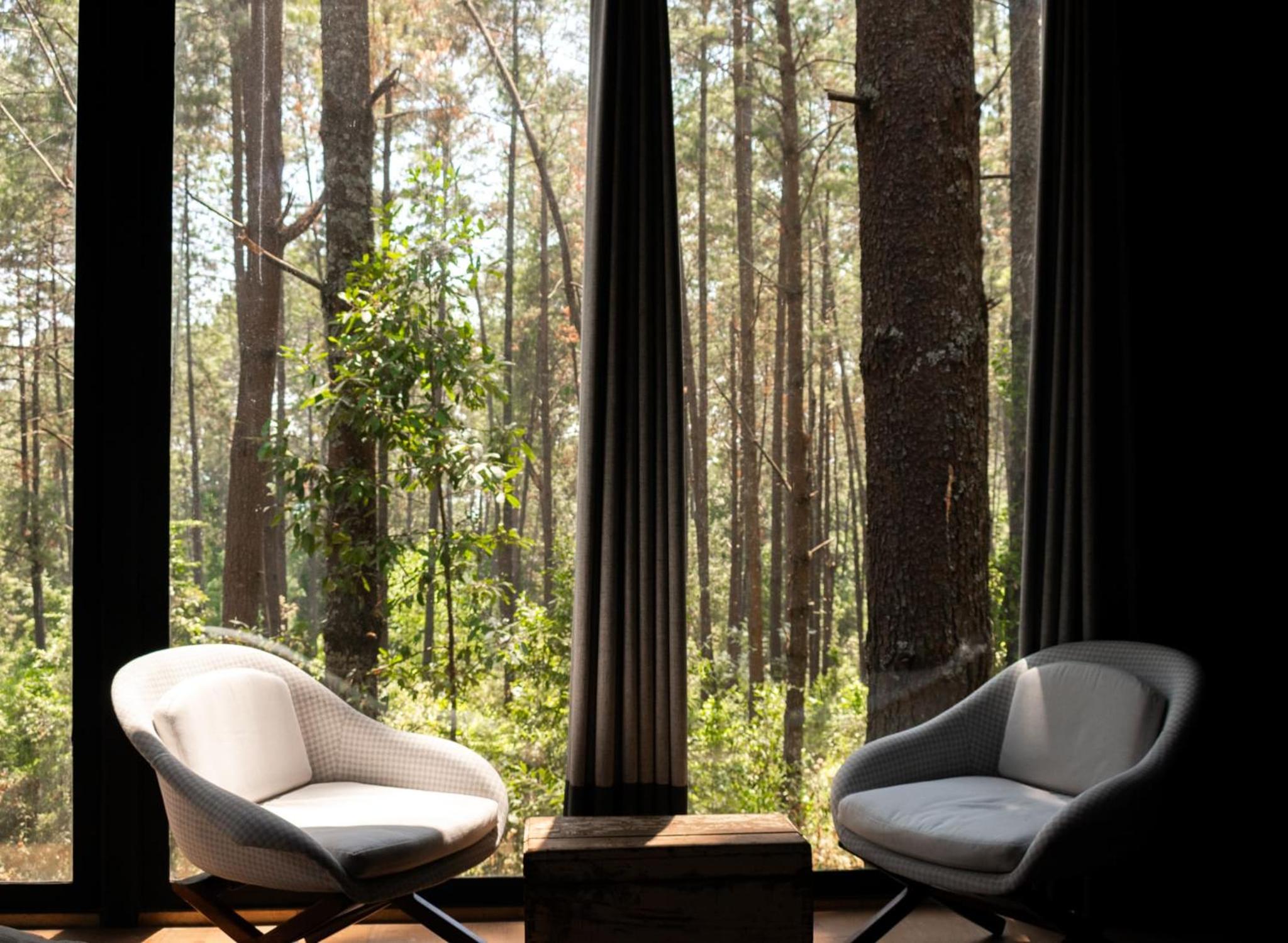 Espectacular Casa de lujo en el Bosque