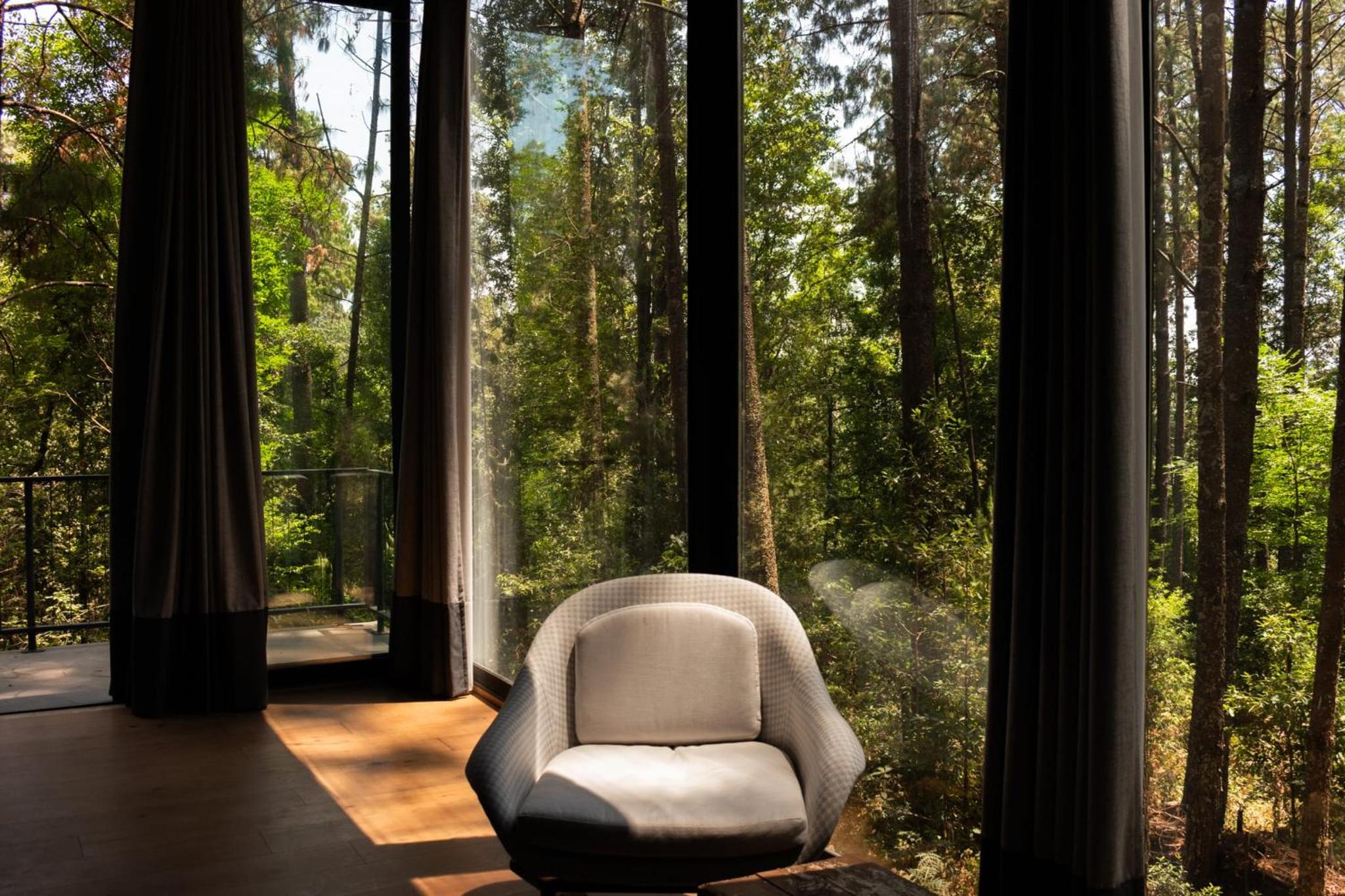 Espectacular Casa de lujo en el Bosque