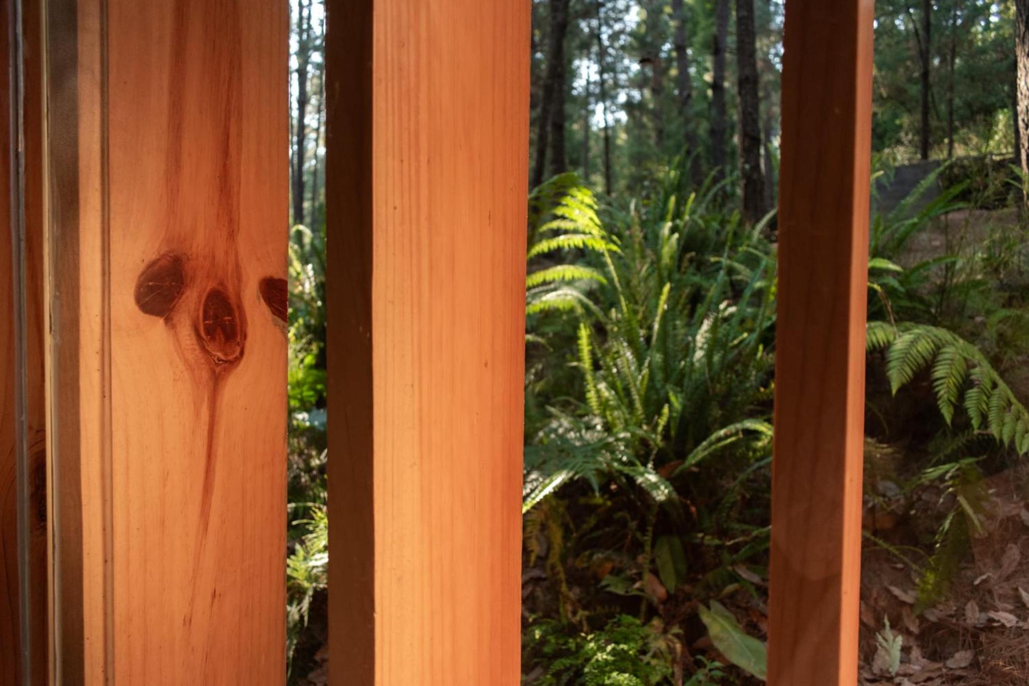 Espectacular Casa de lujo en el Bosque