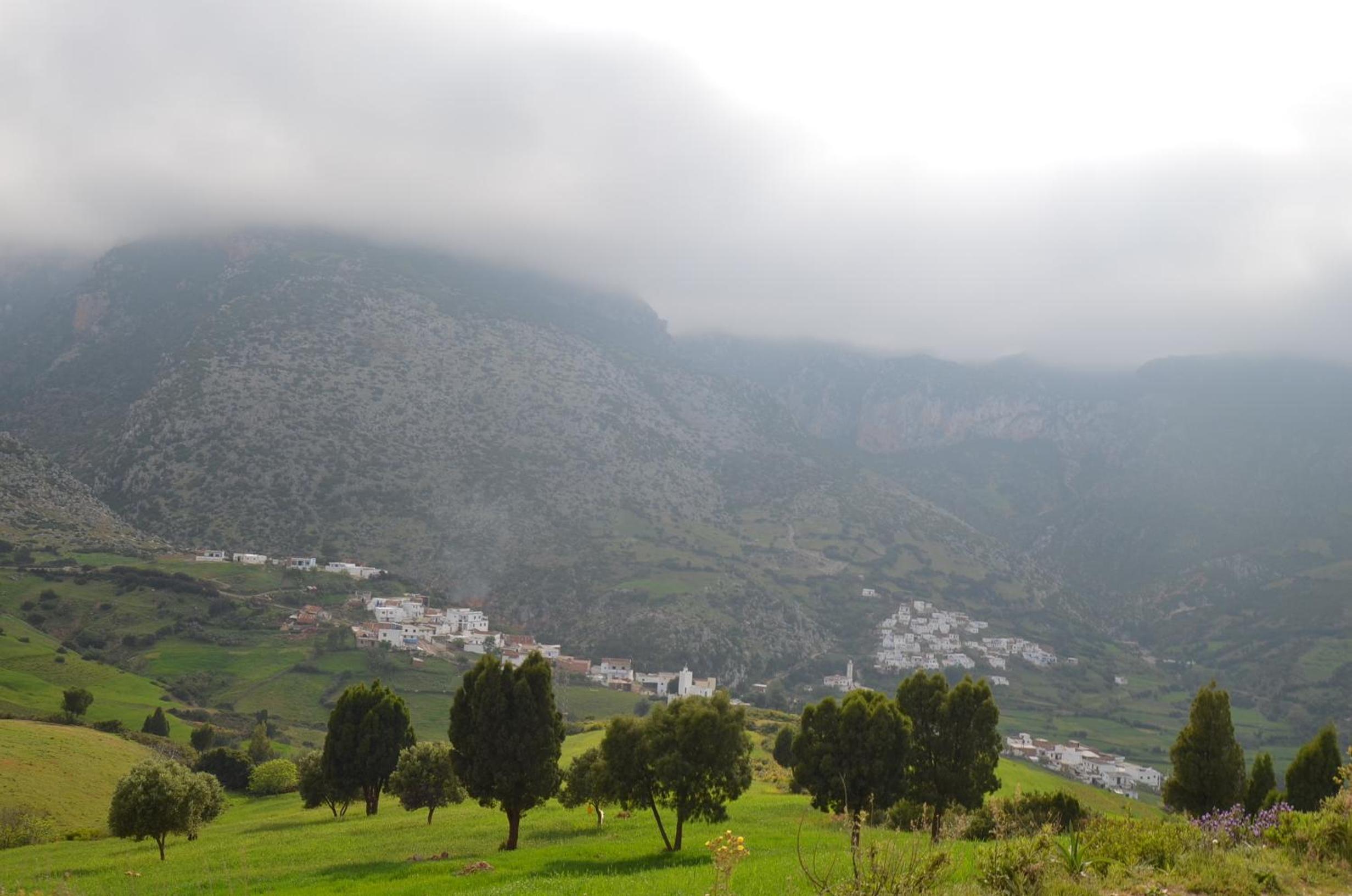 Photo 47