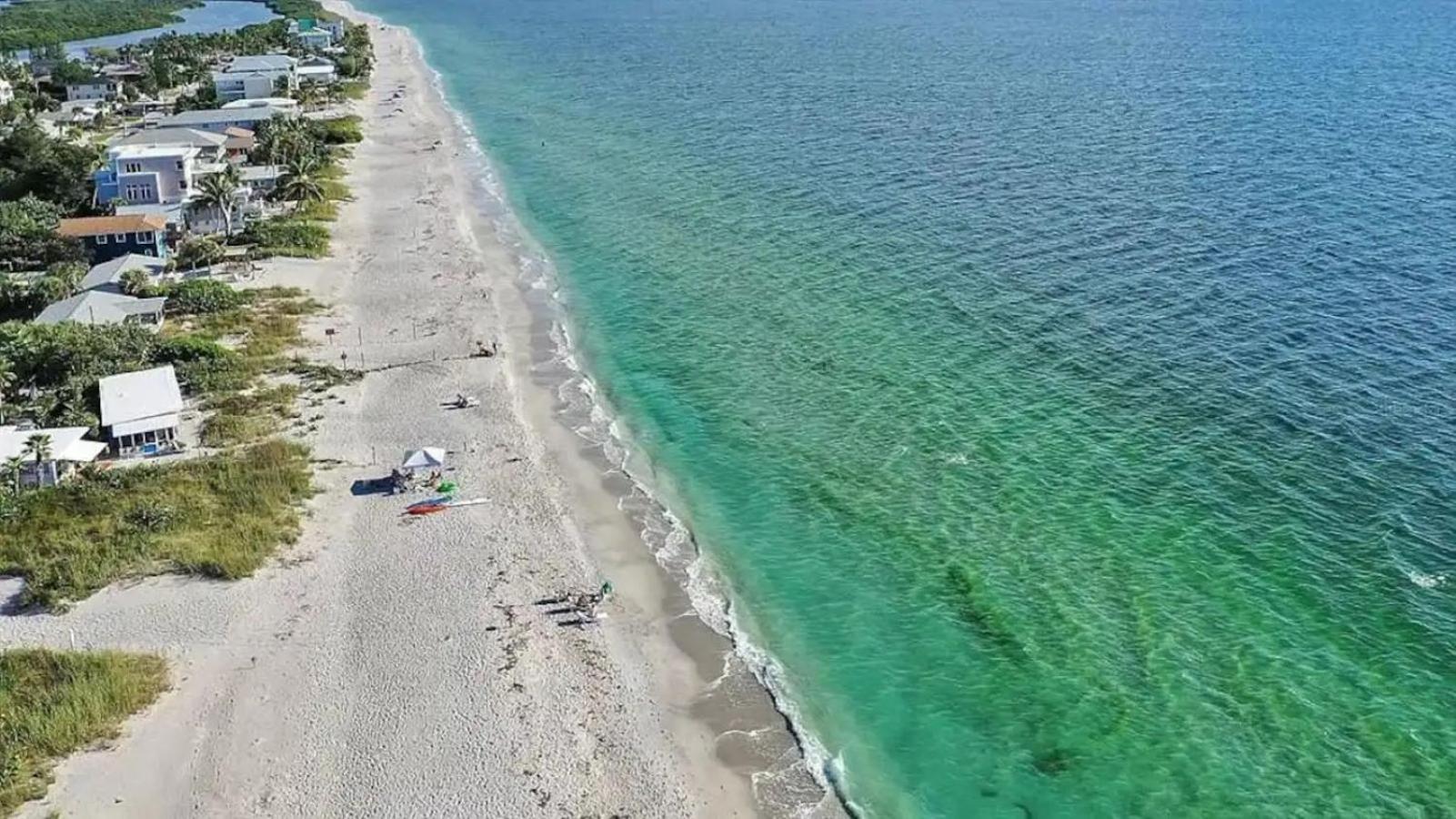 Sand Dollar Siesta-walk to beach less than 1 min! view 5