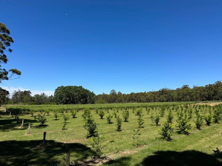 The Homestead at Dalton's Paddock
