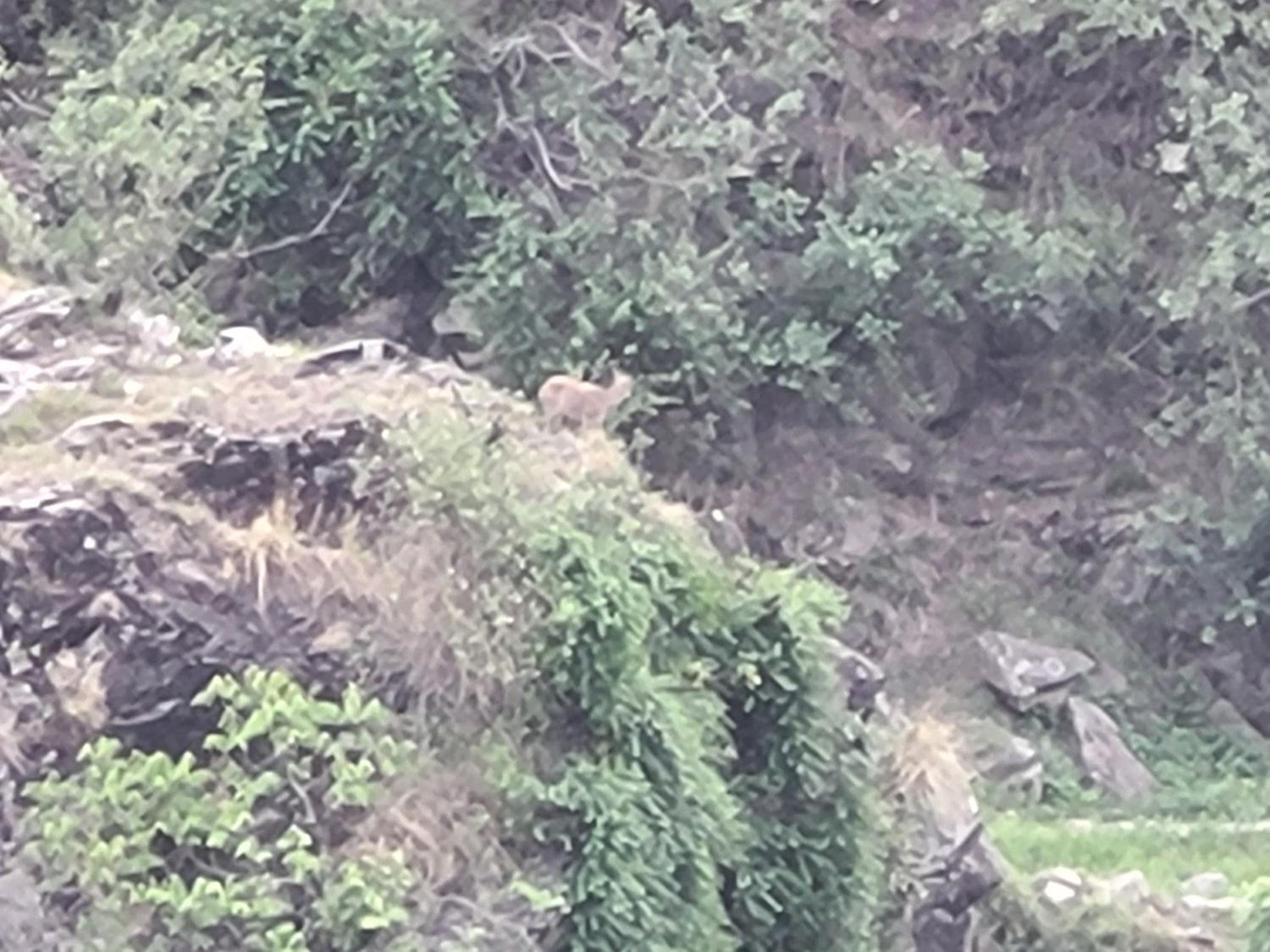 Hotel Prakriti Darshan view 3
