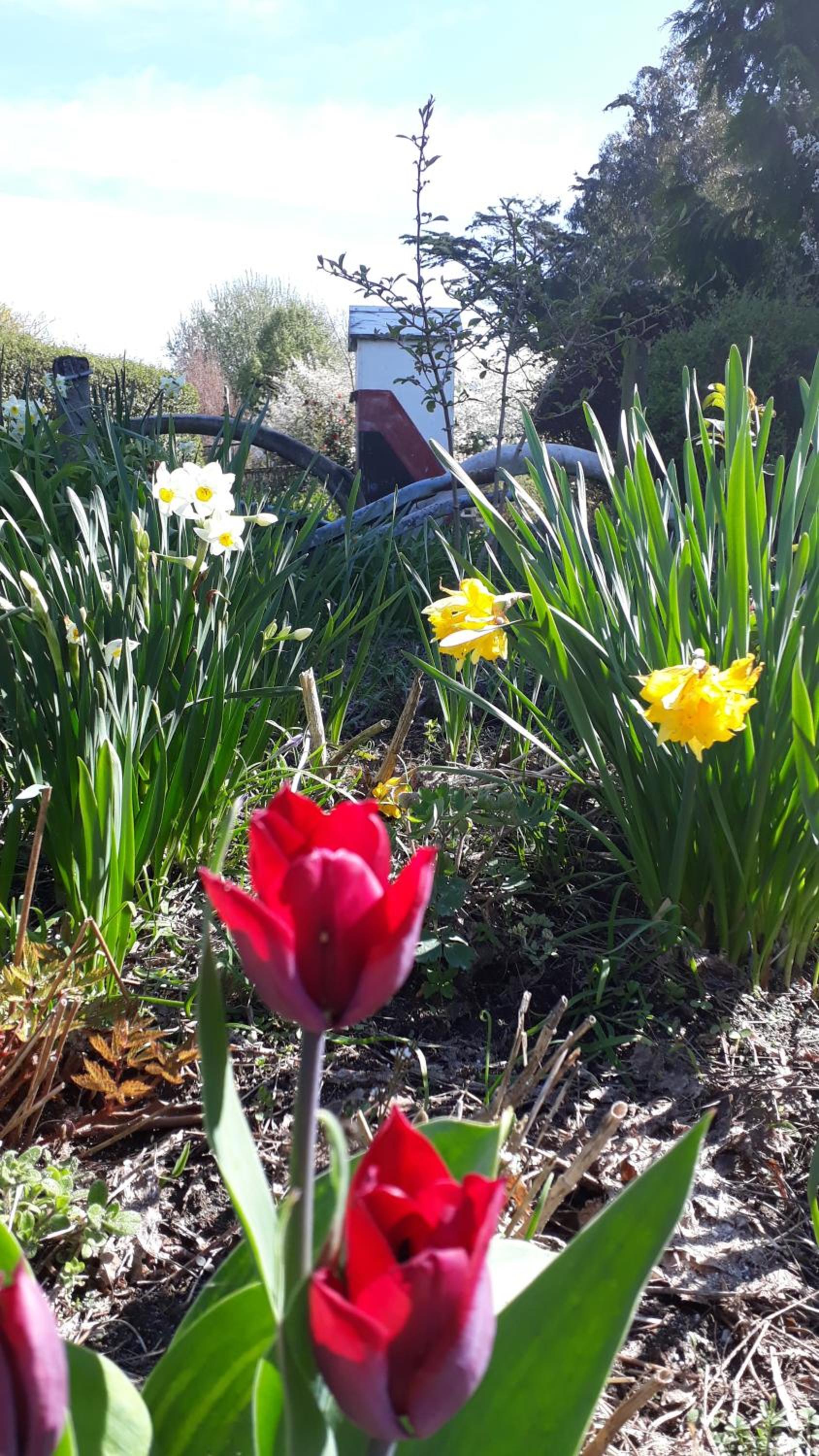 Photo 21