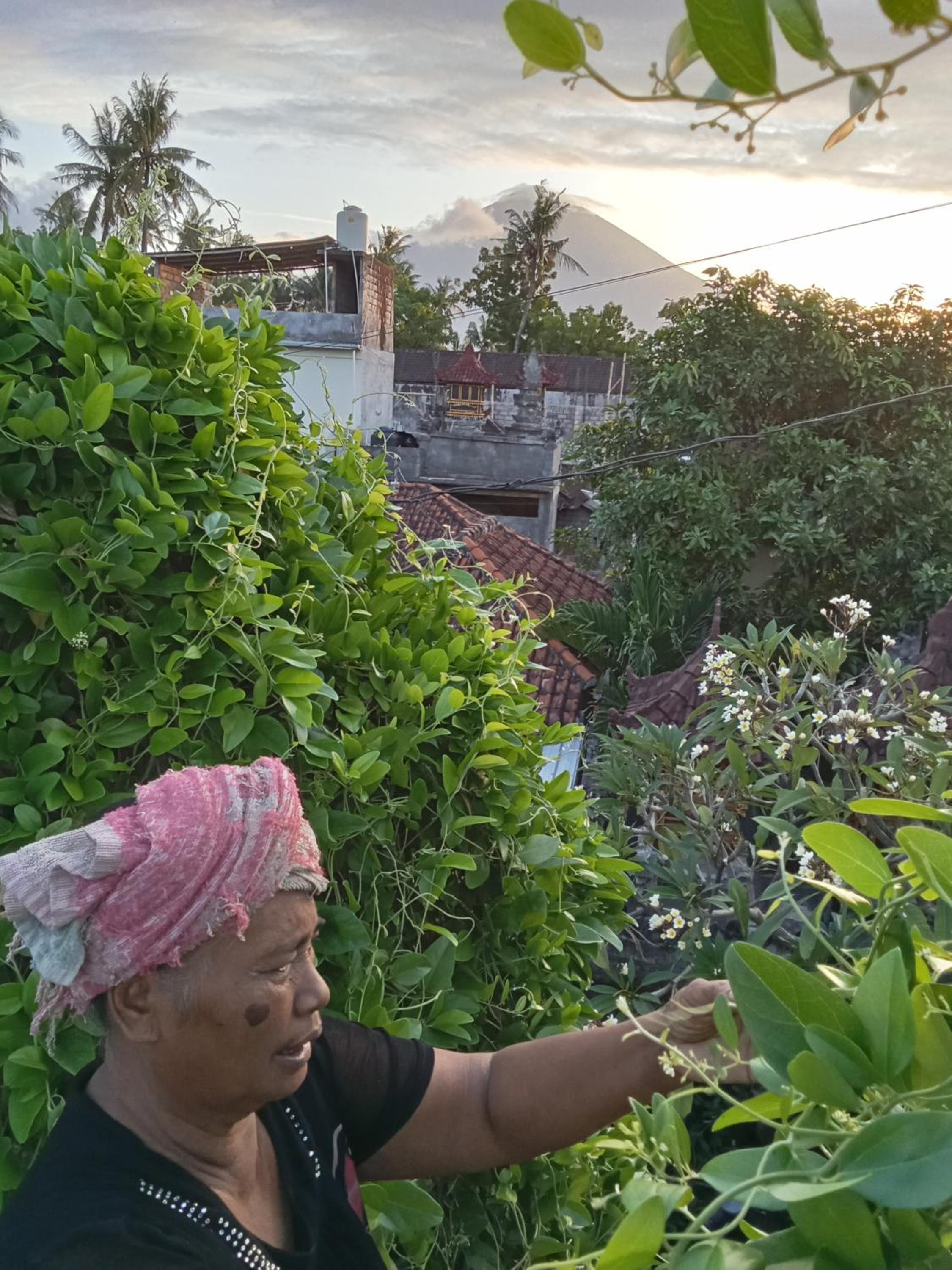 KOMANG homestay