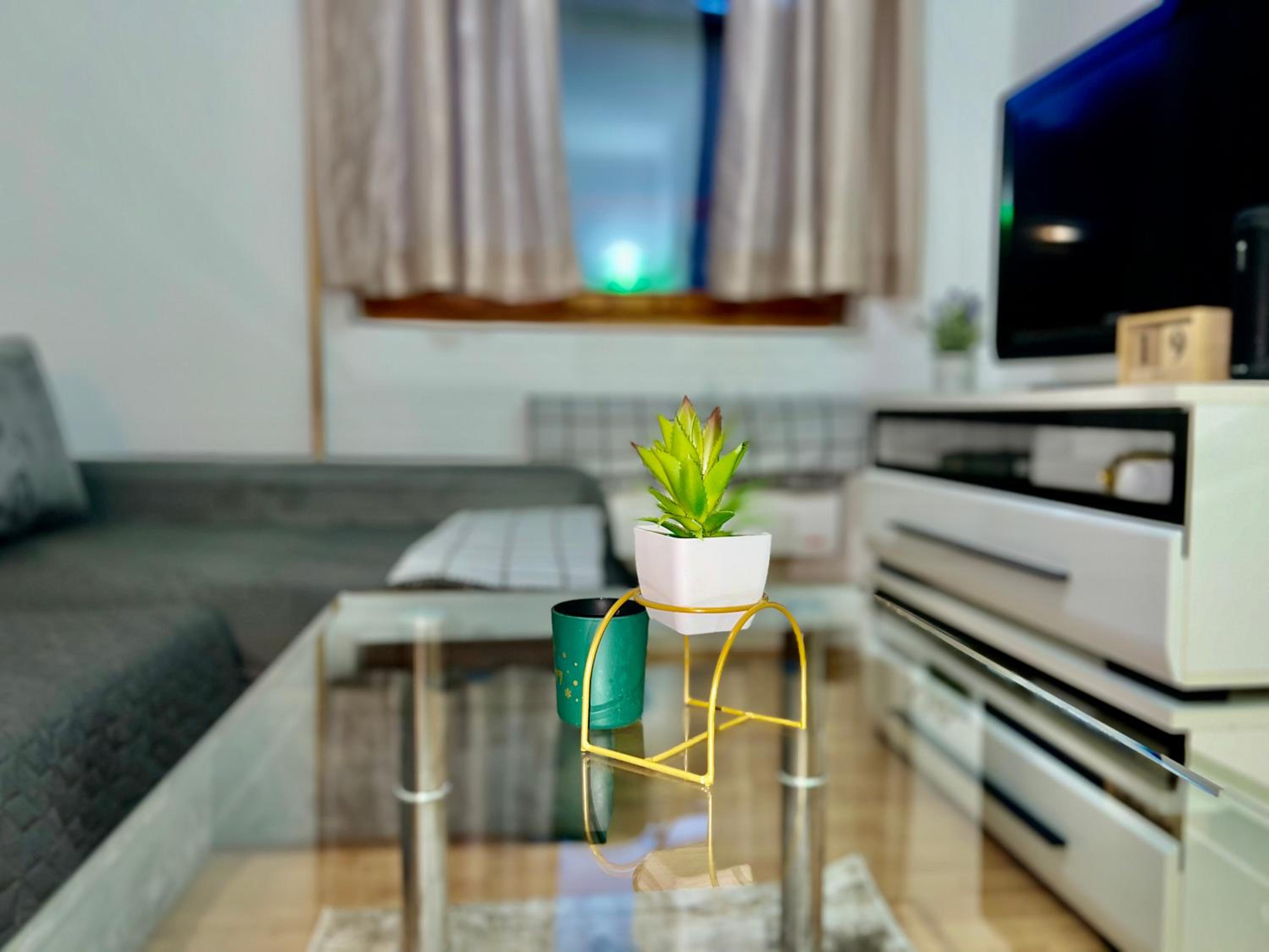 City Center One-Bedroom Loft Apartment