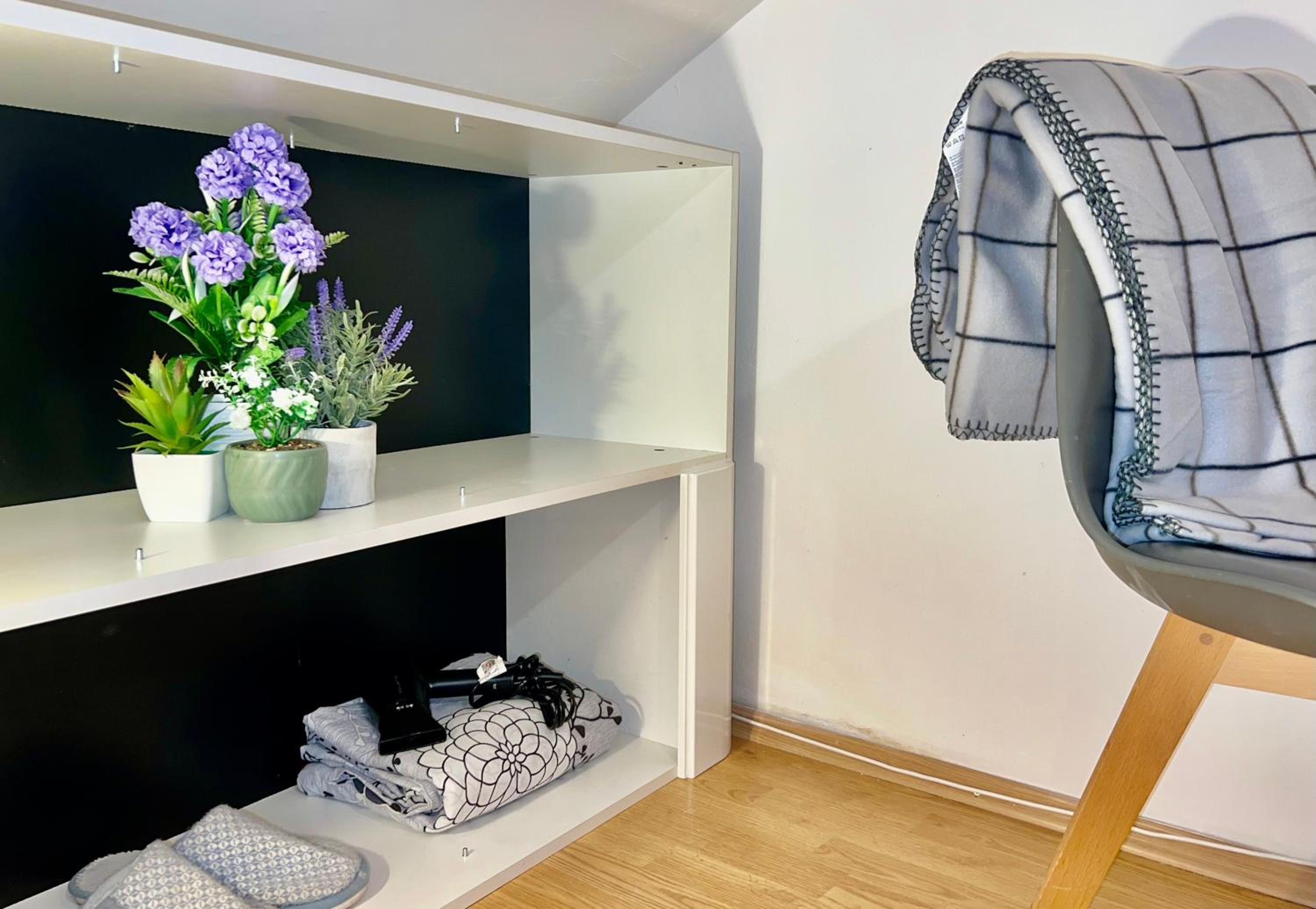 City Center One-Bedroom Loft Apartment
