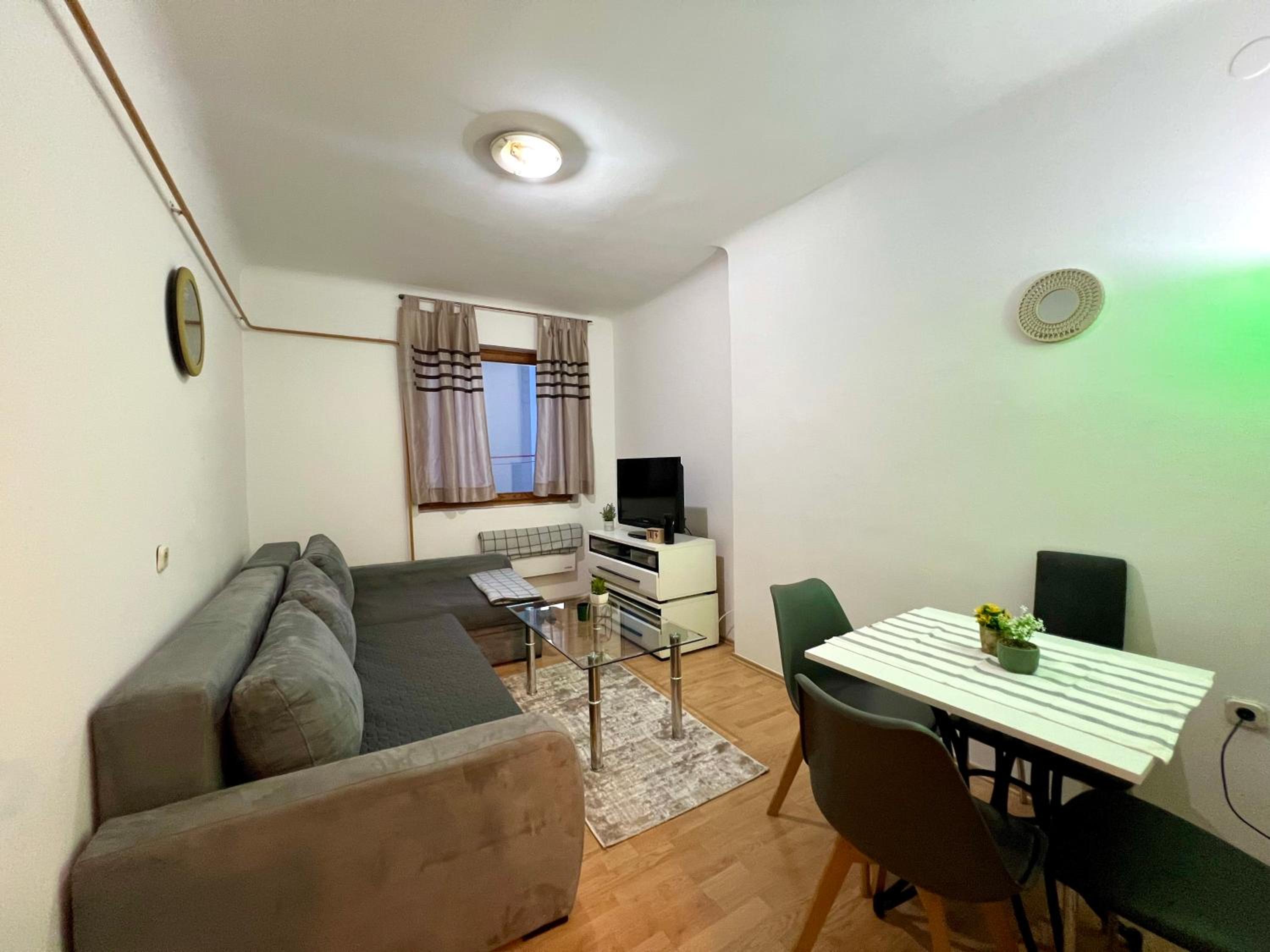 City Center One-Bedroom Loft Apartment