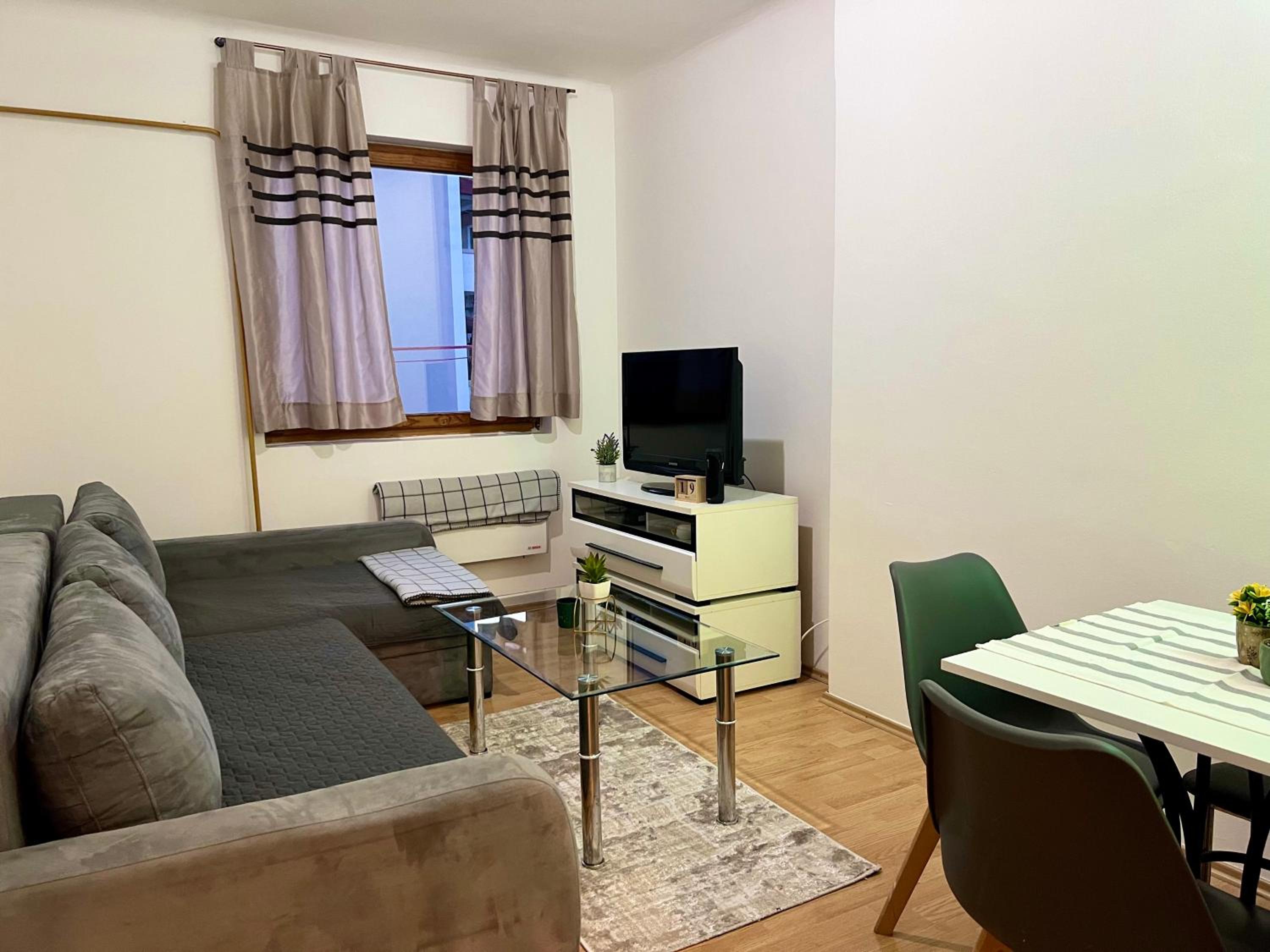 City Center One-Bedroom Loft Apartment