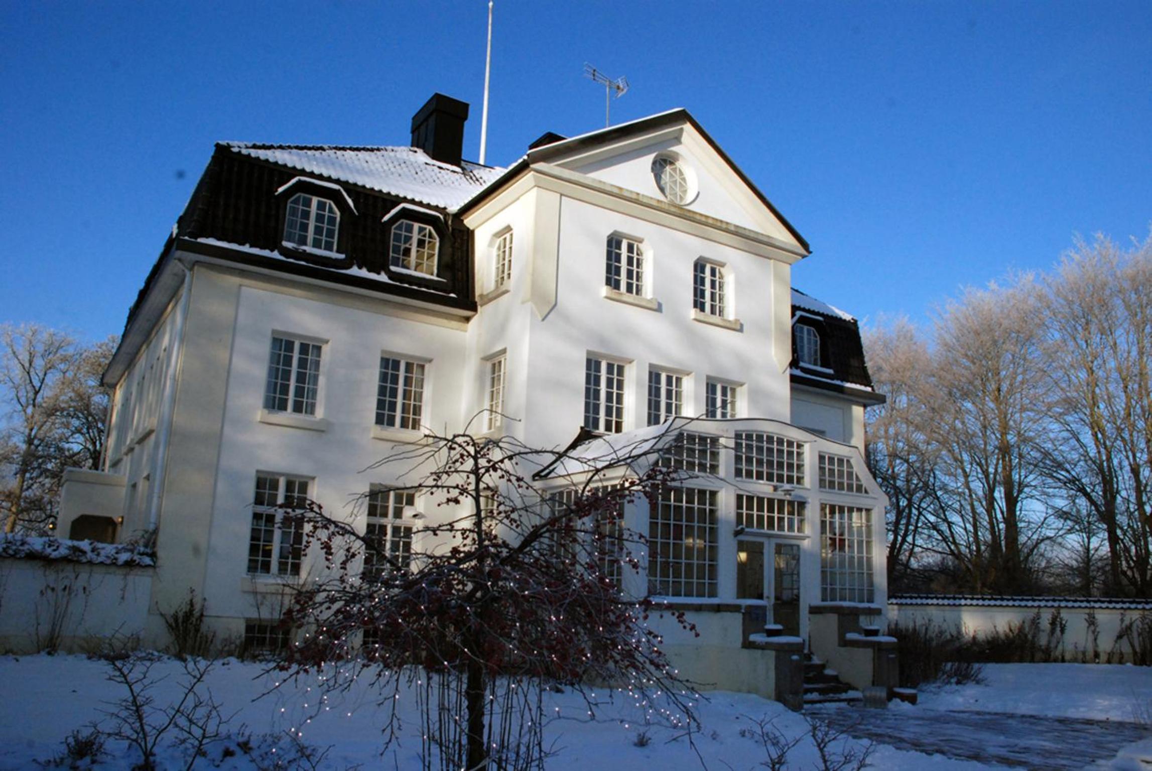 Photo 7