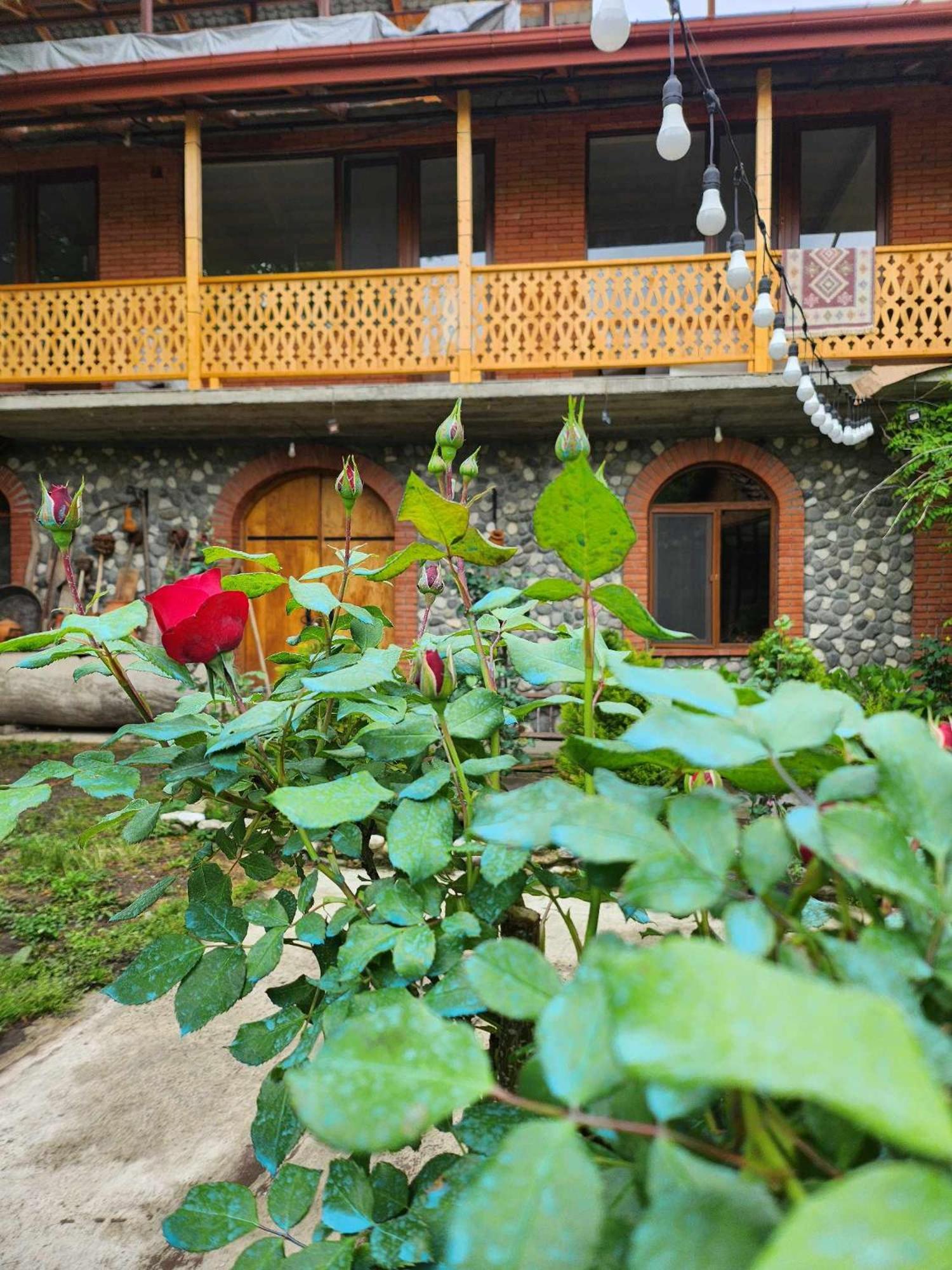 Lomtadze Family Wine Hotel