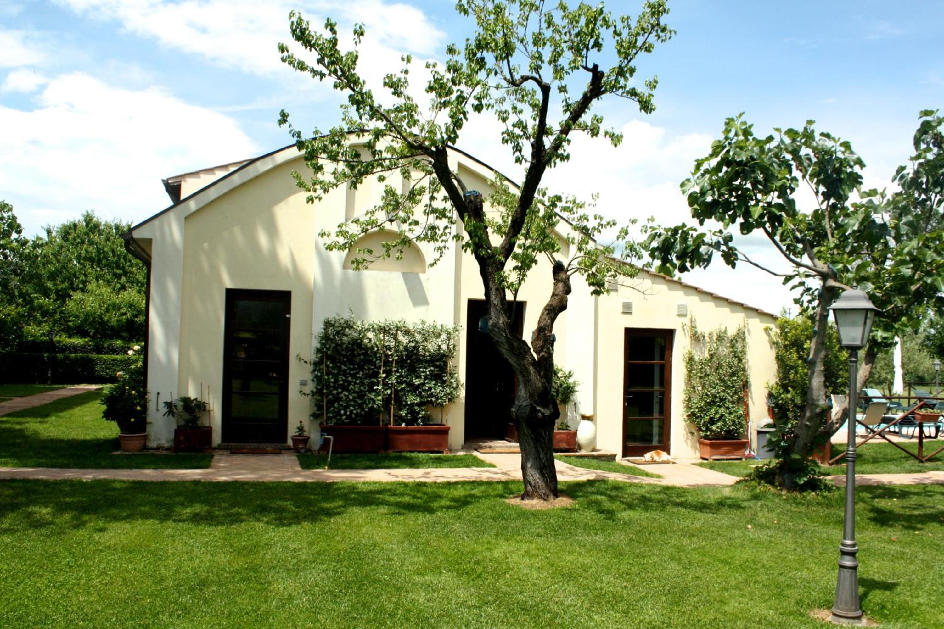 Photo 12
