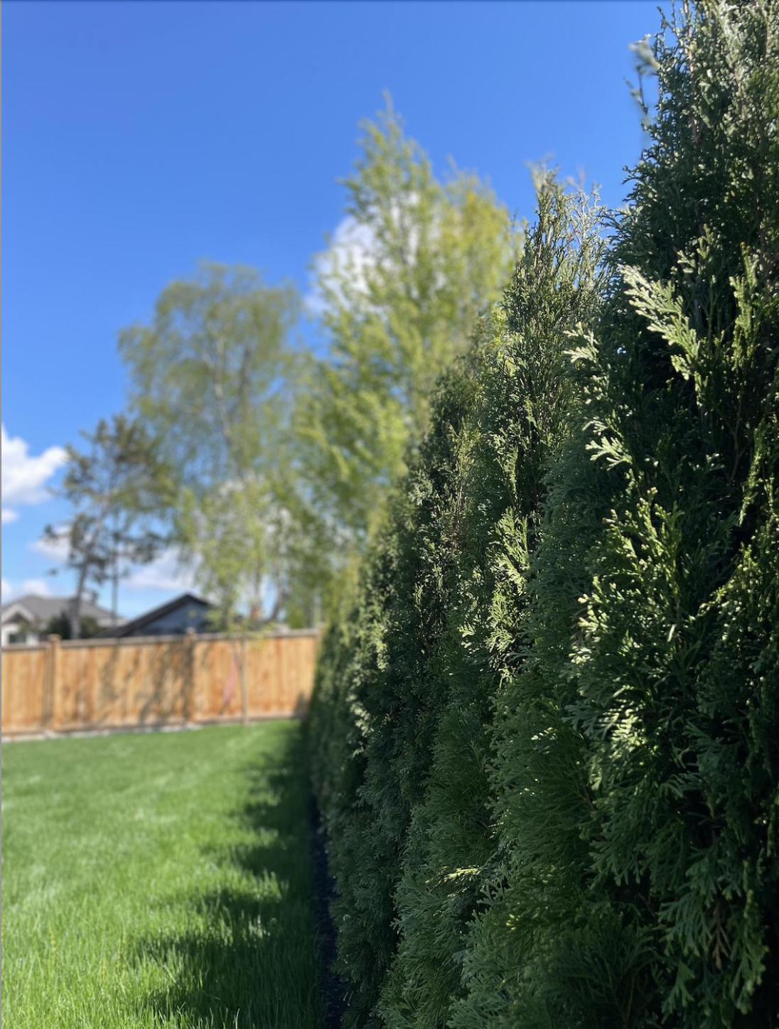Home In Vancouver
