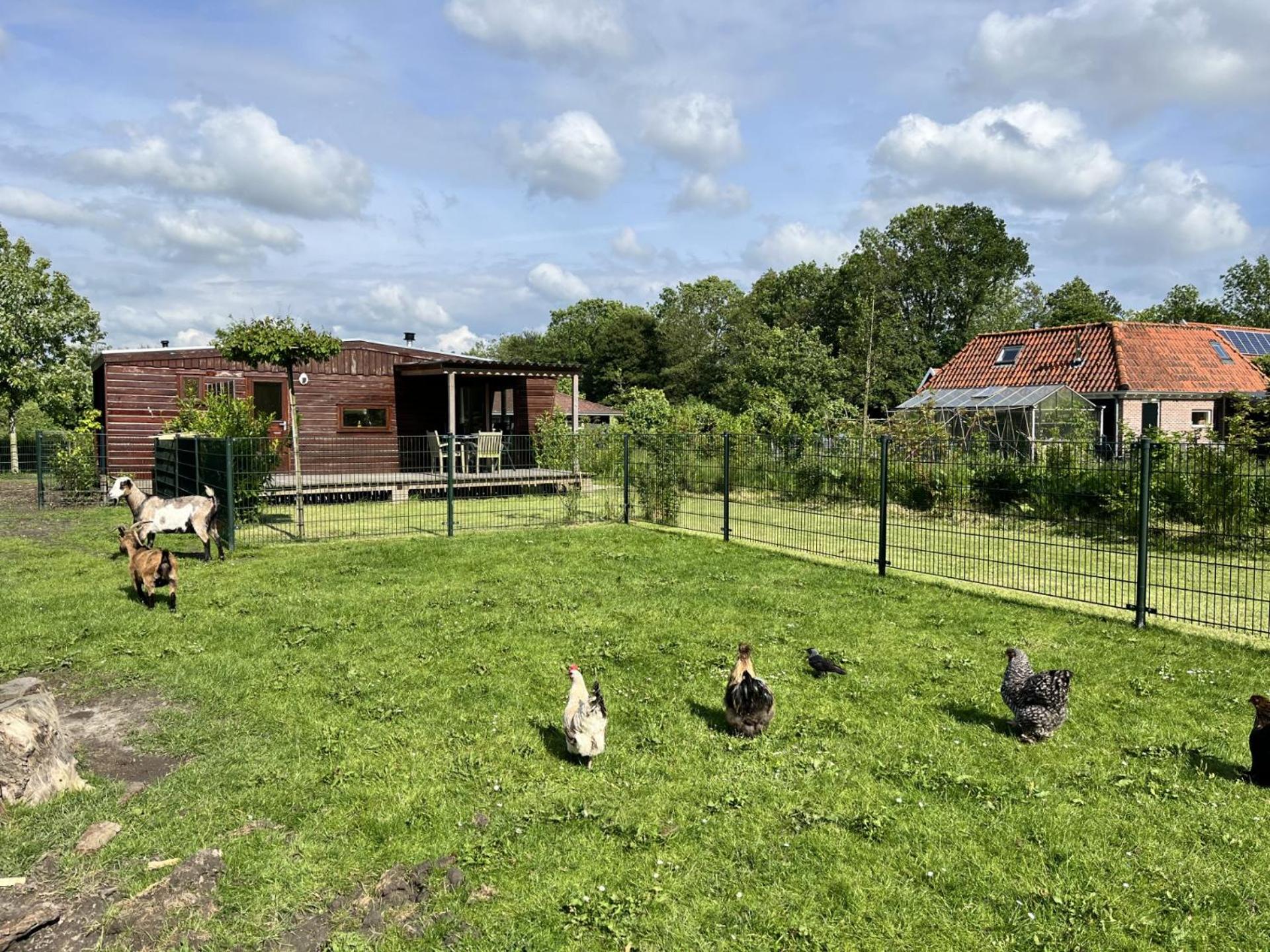 Vrijstaand chalet met veel buitenruimte en veranda view 3