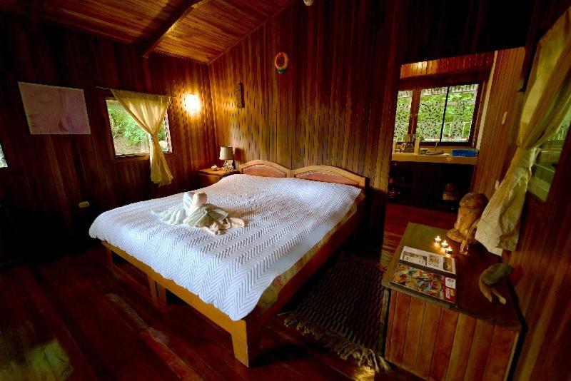 Lodge Mirador - Great Swimming pool - Kitchen - BBQ - Netflix