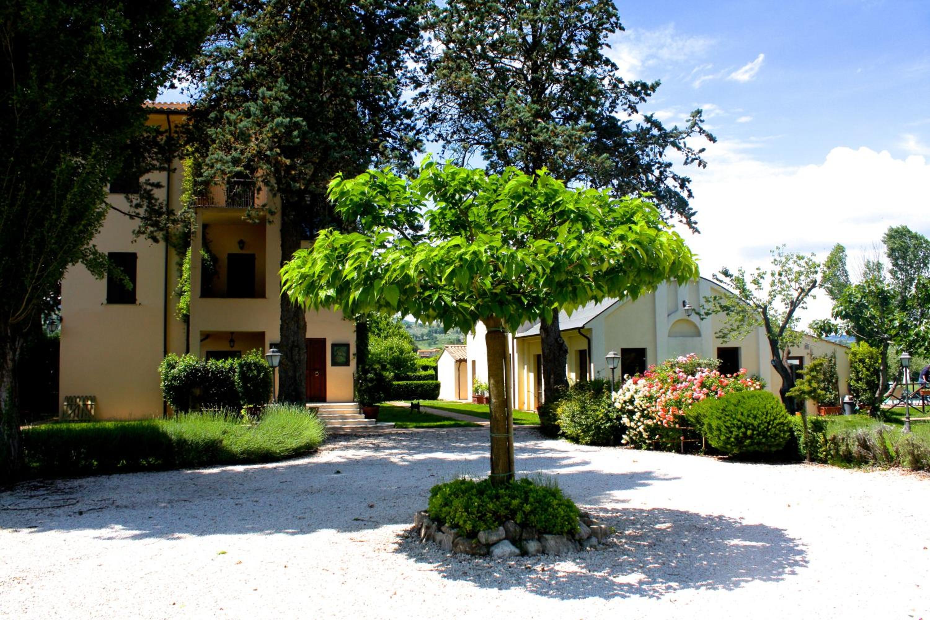 Photo 8