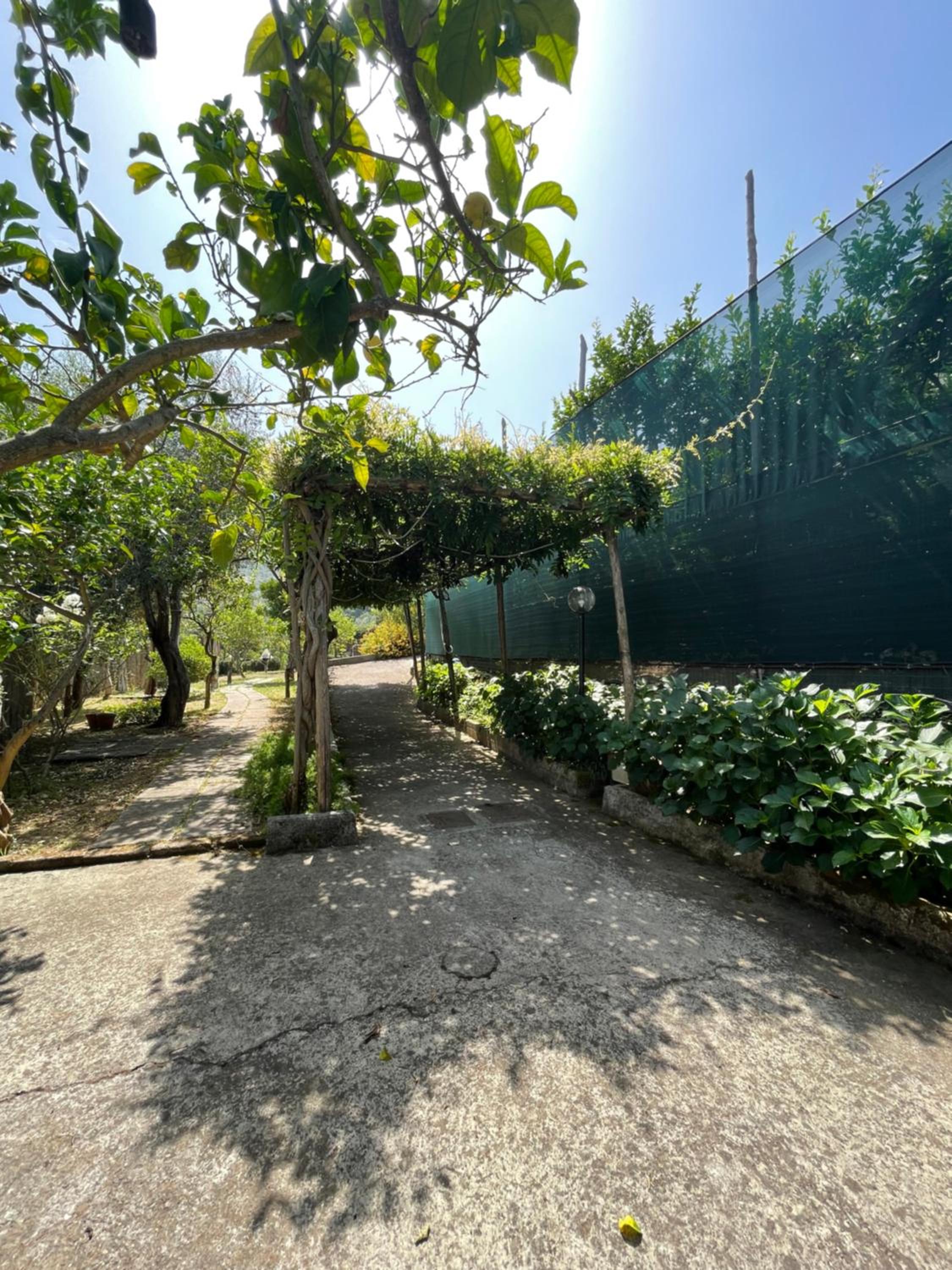 Villa Rosmary