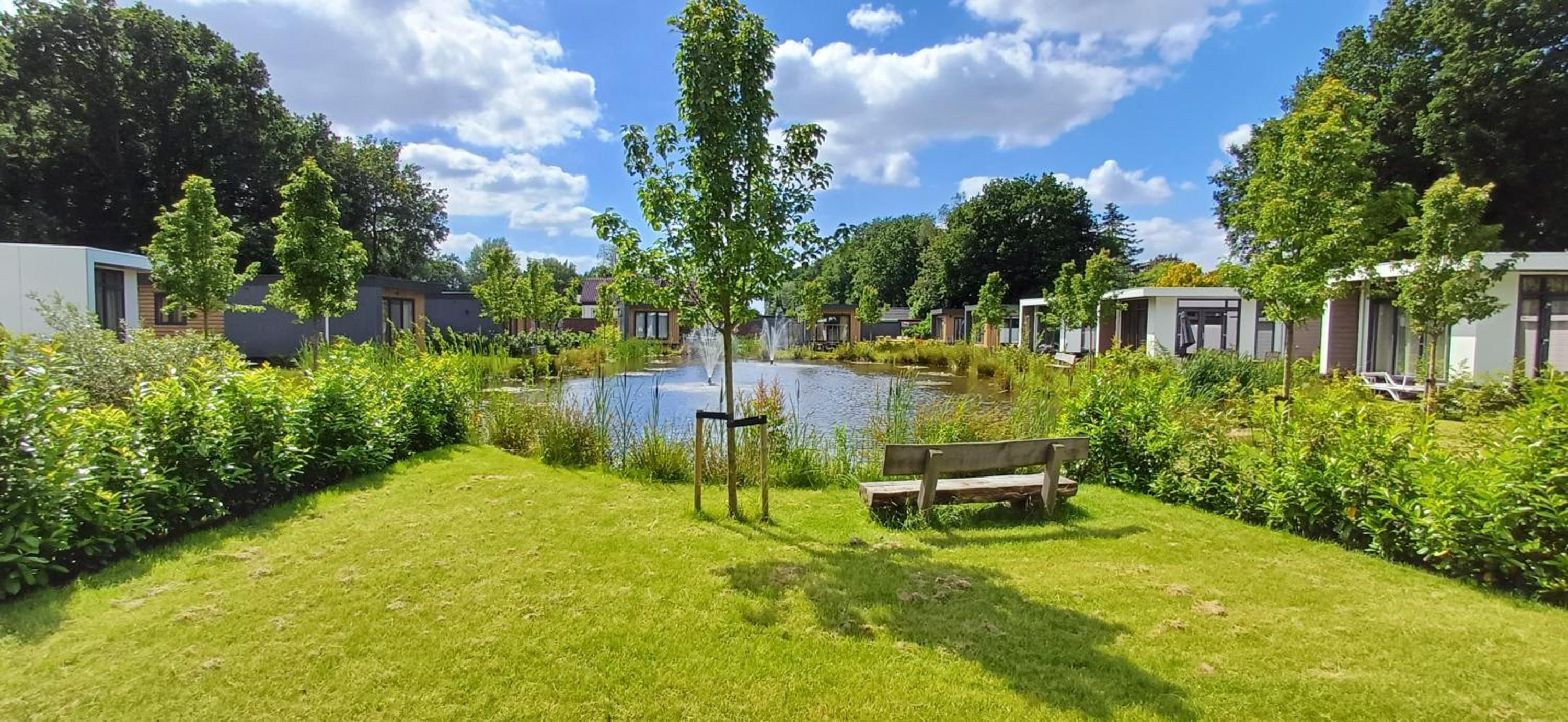 TOP Luxe chalet - kindvriendelijk - bos en heide view 3