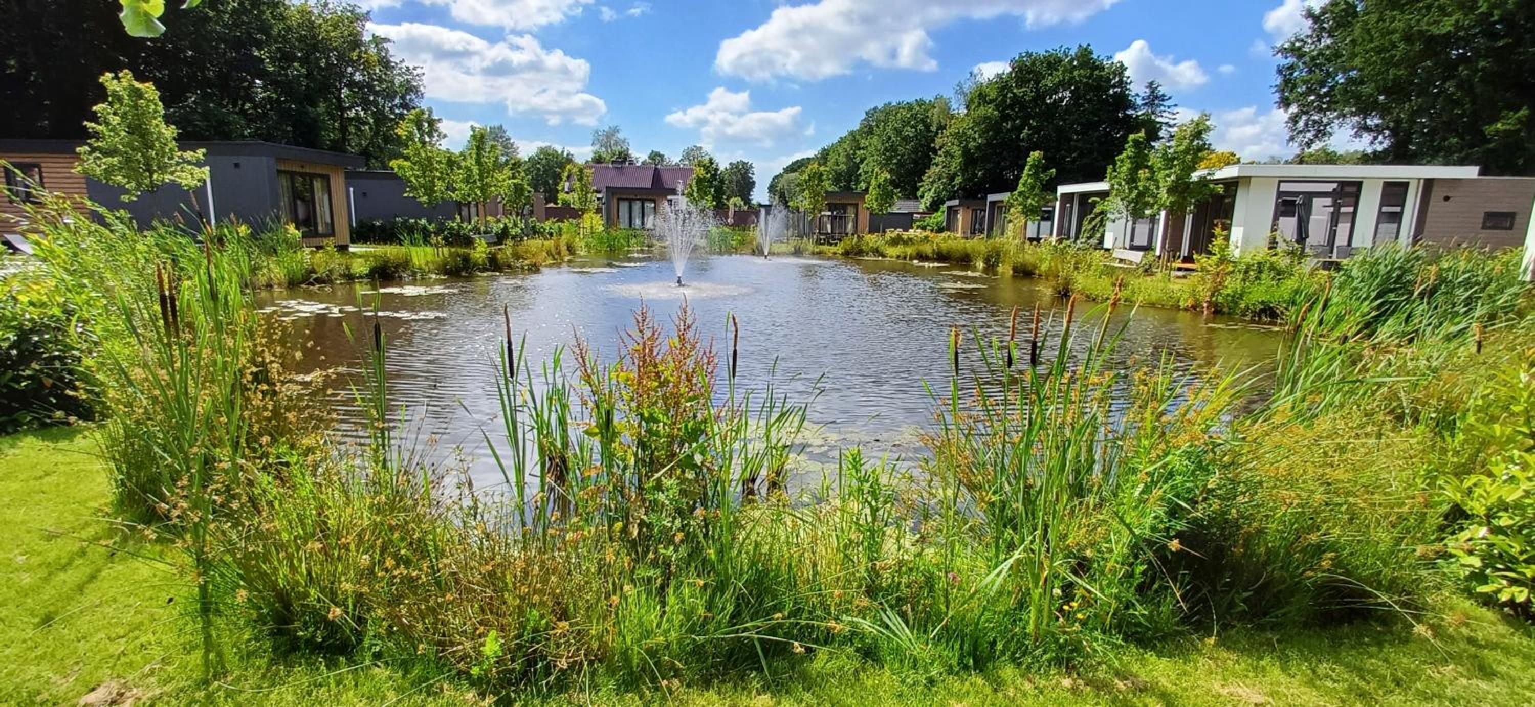 TOP Luxe chalet - kindvriendelijk - bos en heide view 2