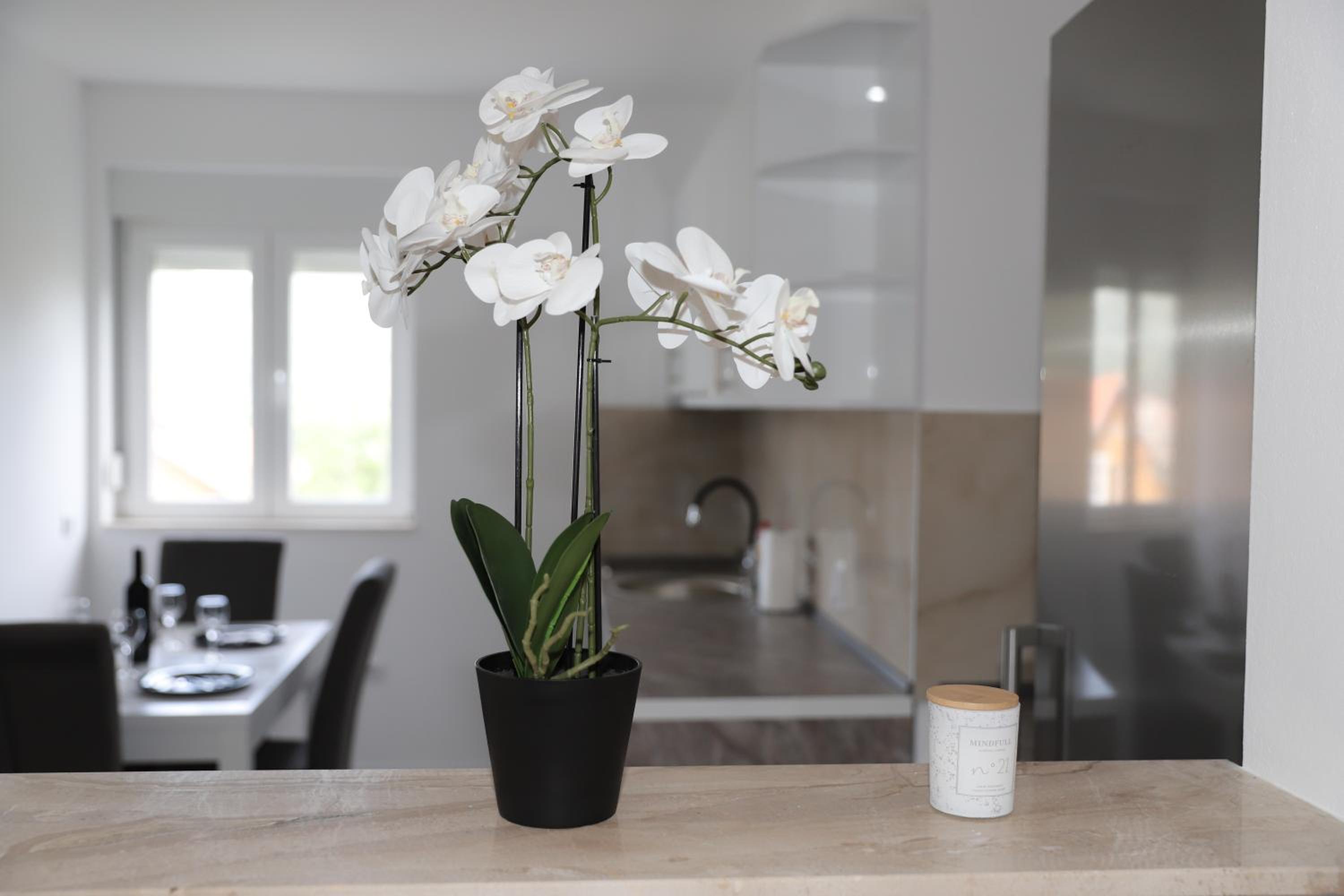 Apartmani Lara
