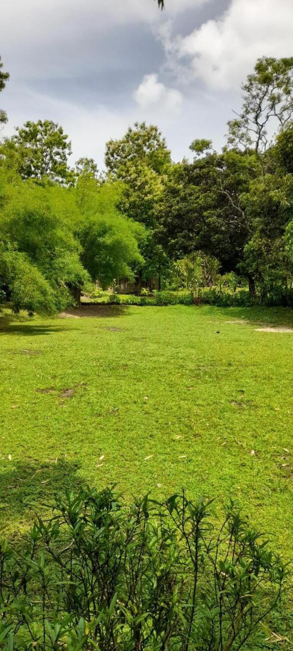 Photo 12
