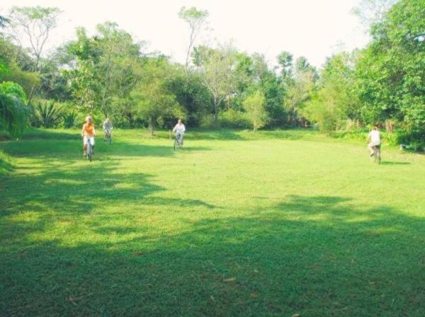 Photo 24