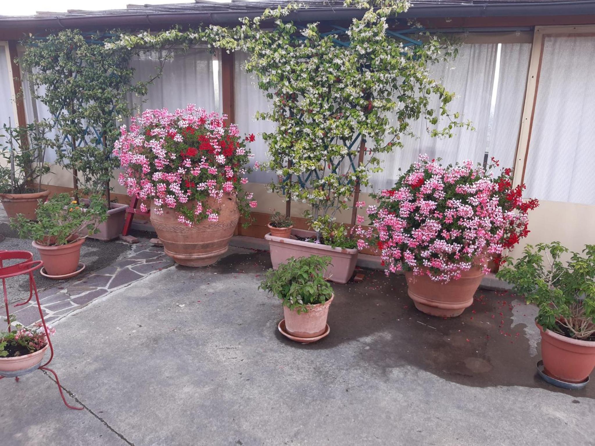 Photo 36