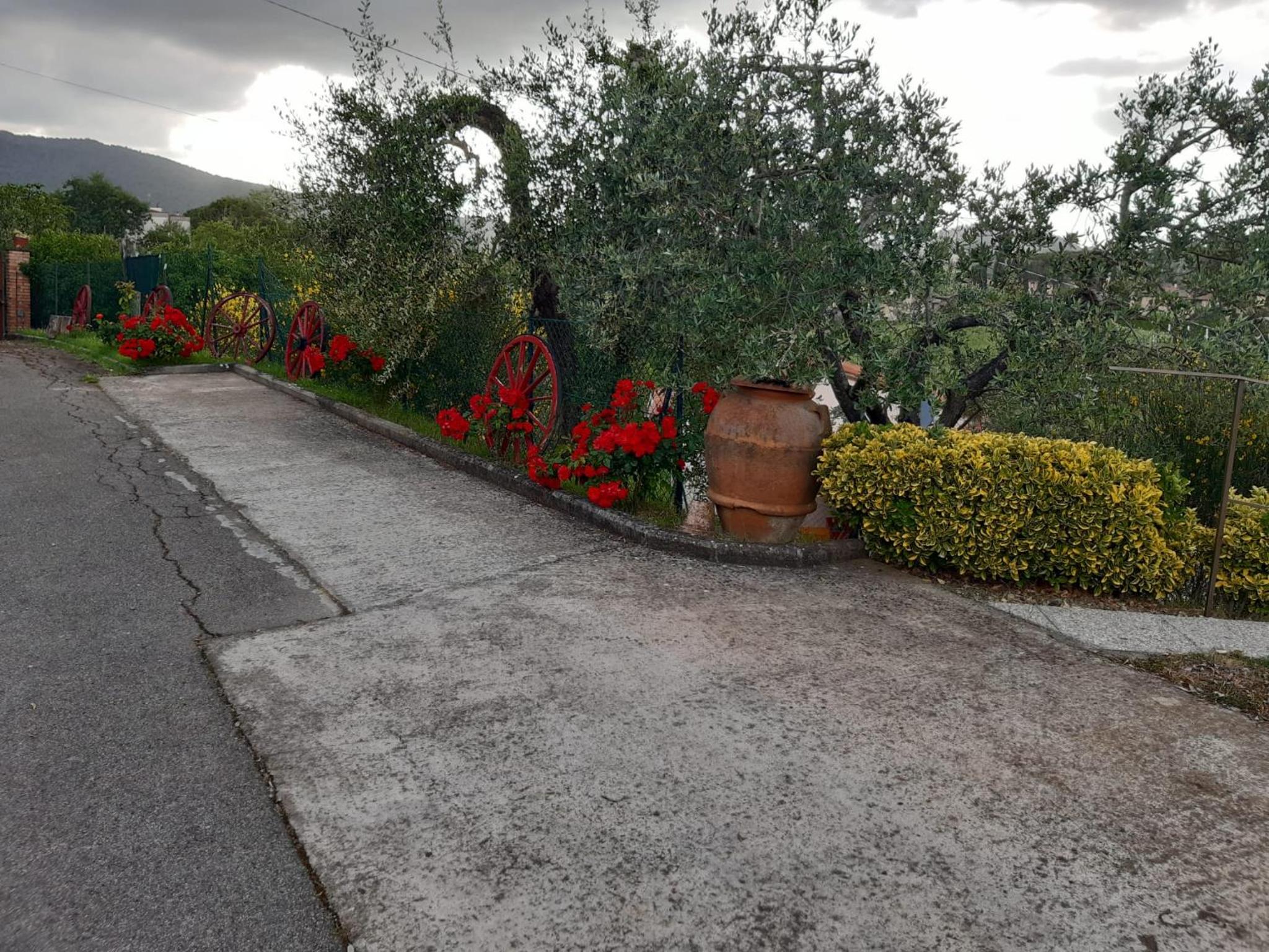 Photo 40