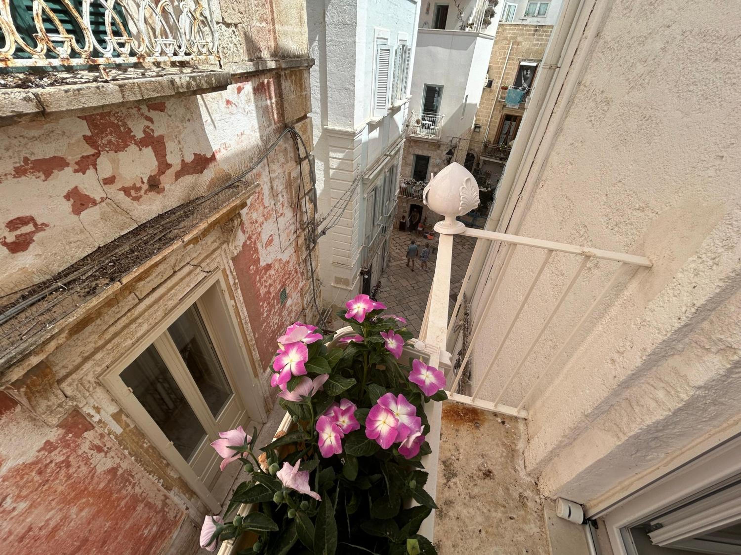 Trame - La Naca sul Porto, photo 52