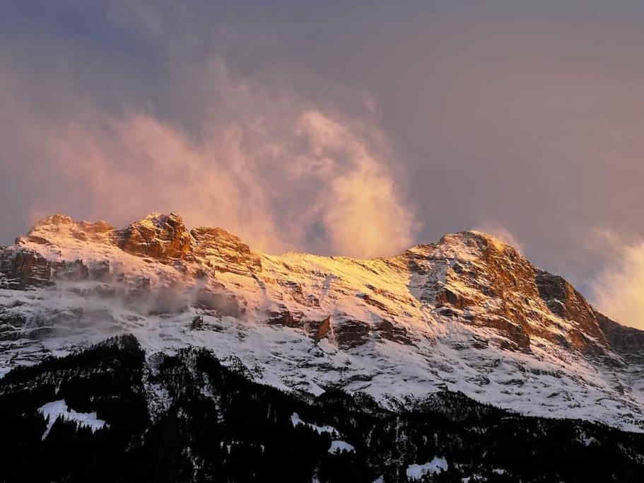 Eiger Nest Apartment