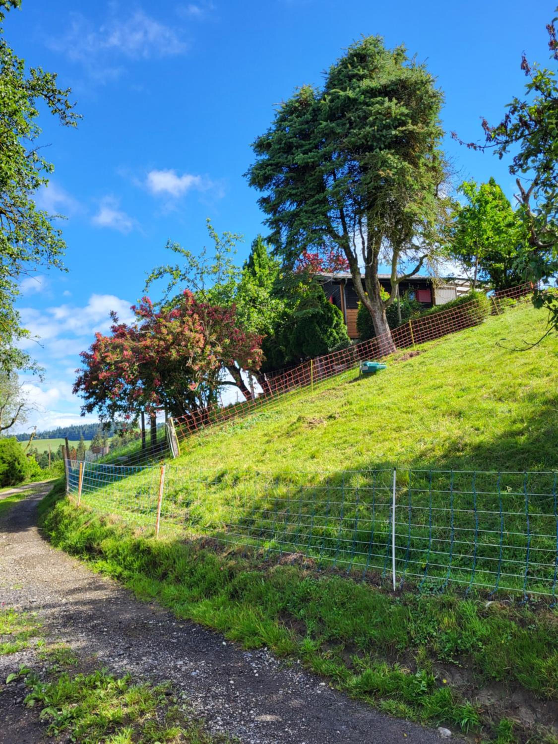 Chalet im grünen