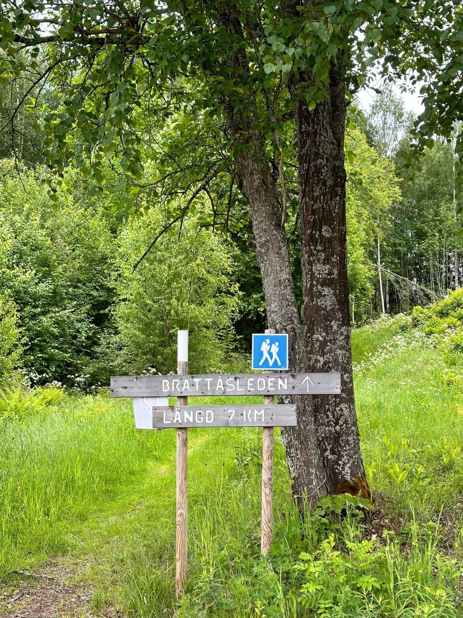 LadansLoft