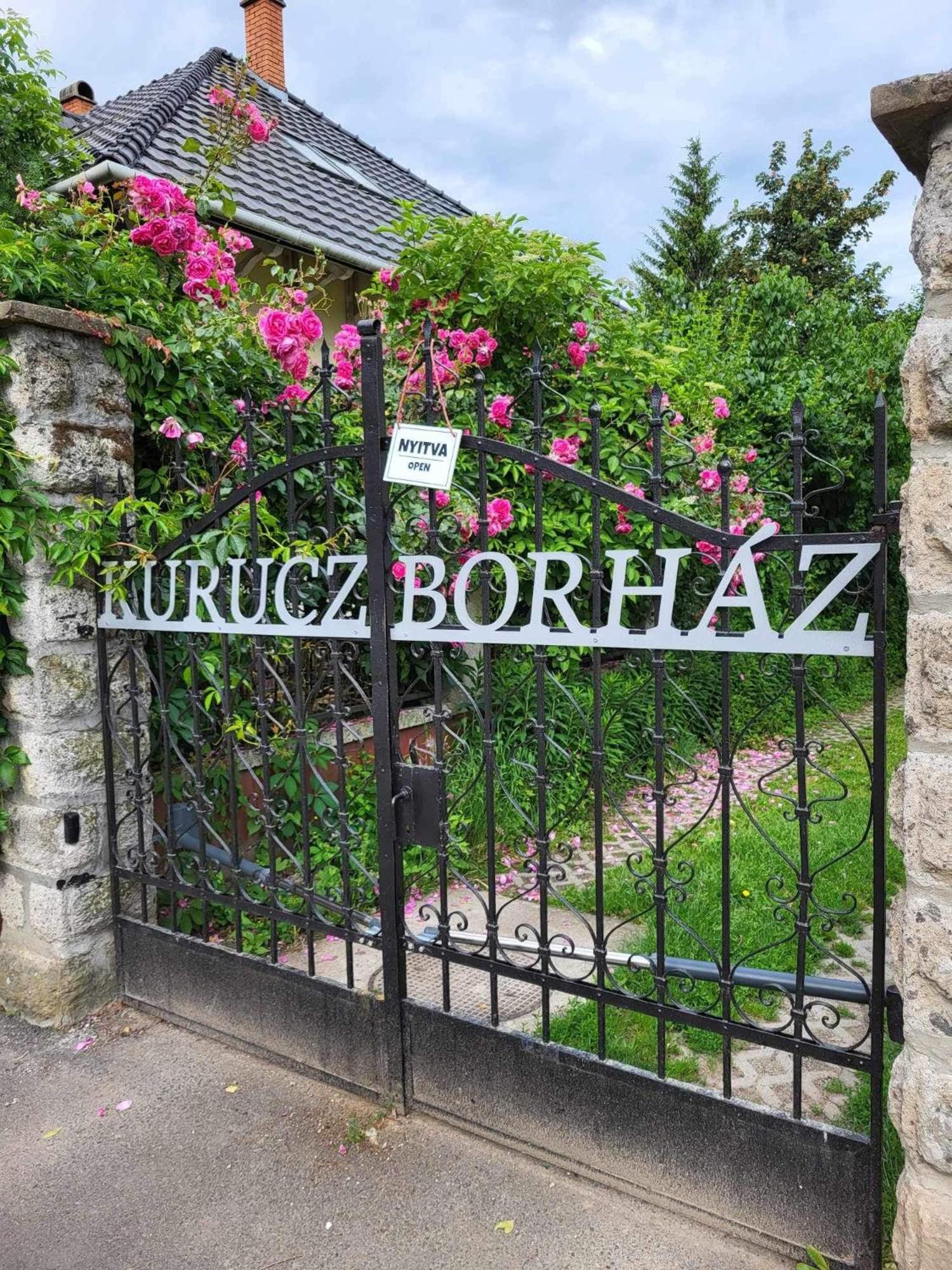 Kurucz Apartman