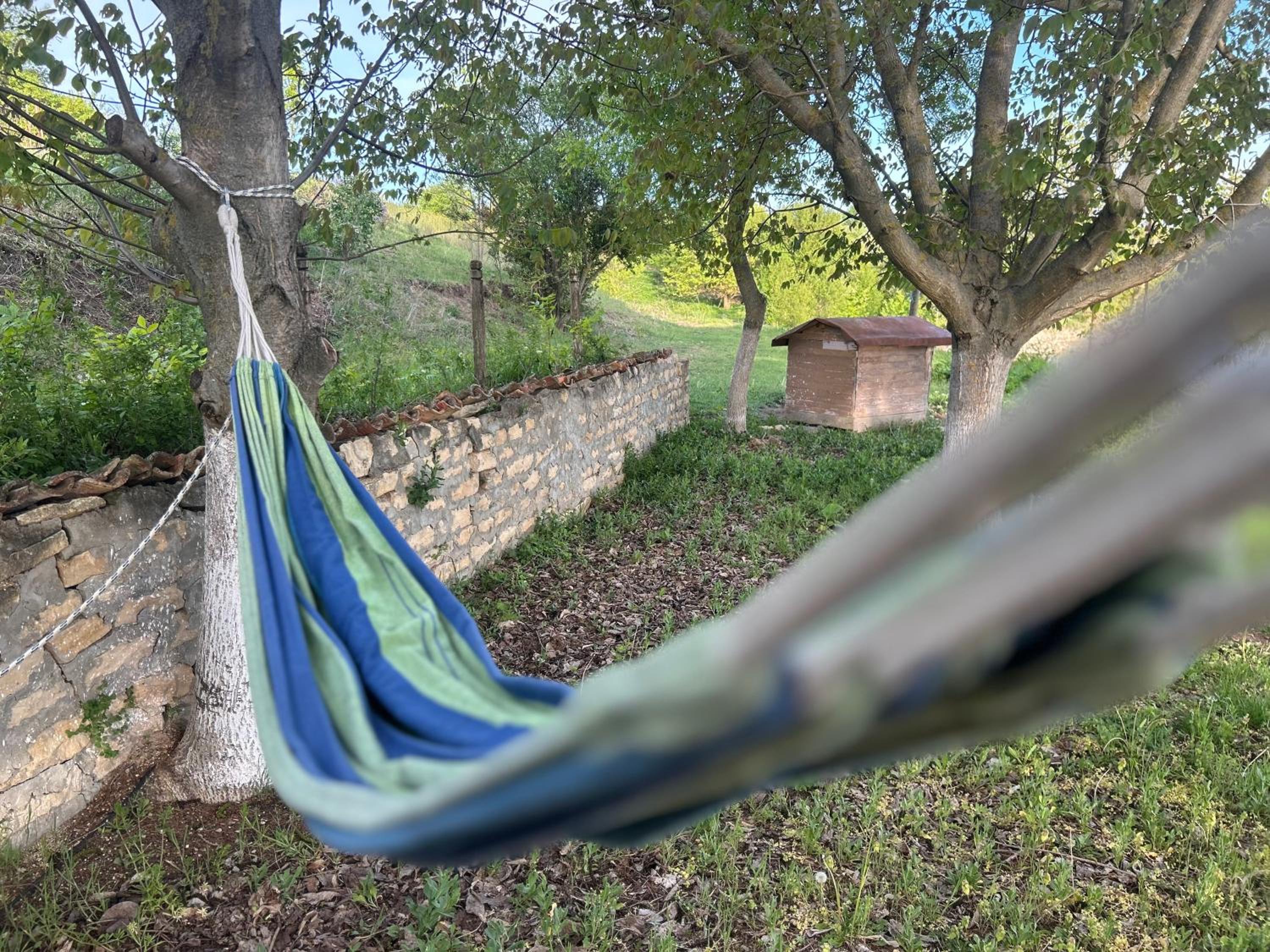 Holiday Camp