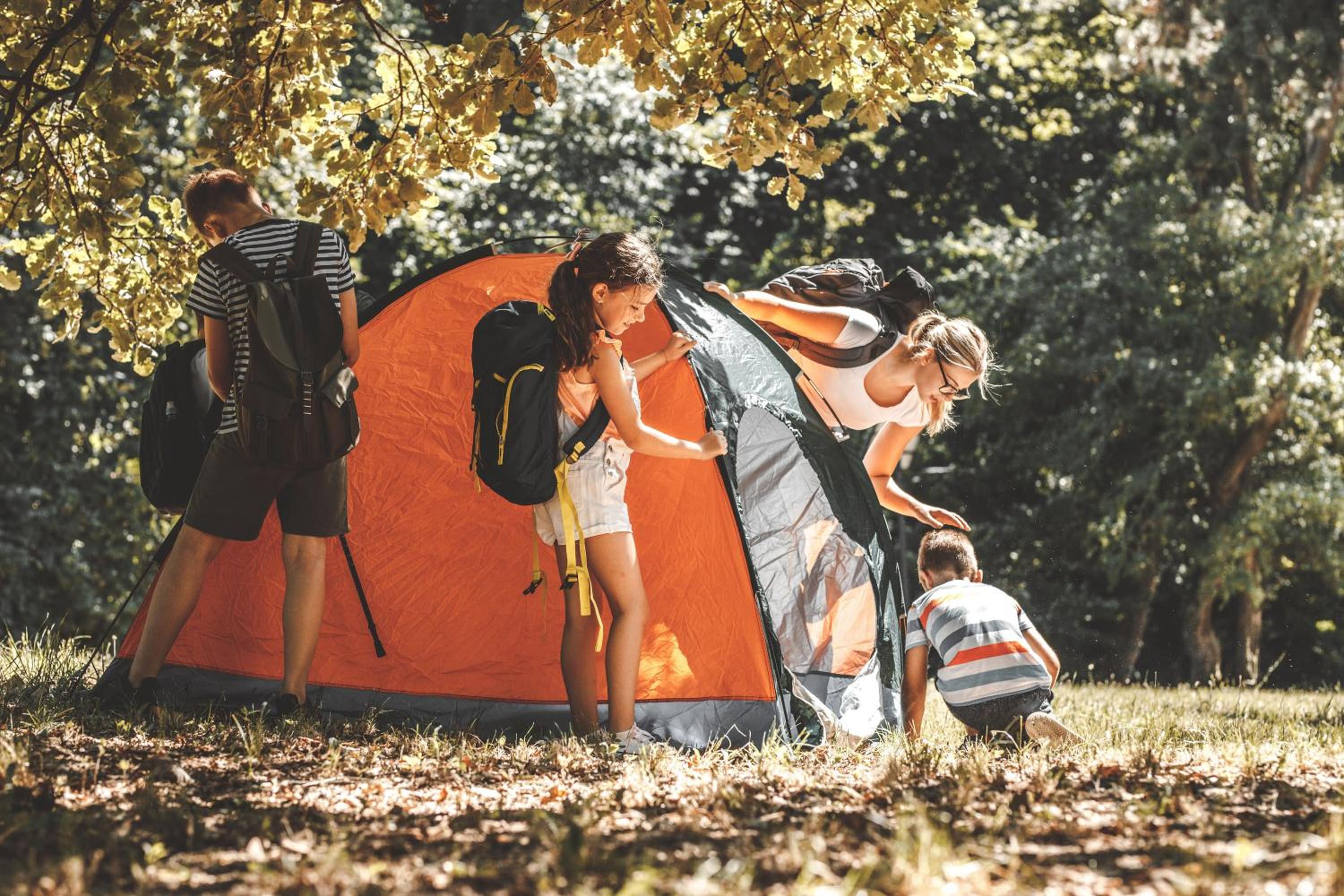 Holiday Camp