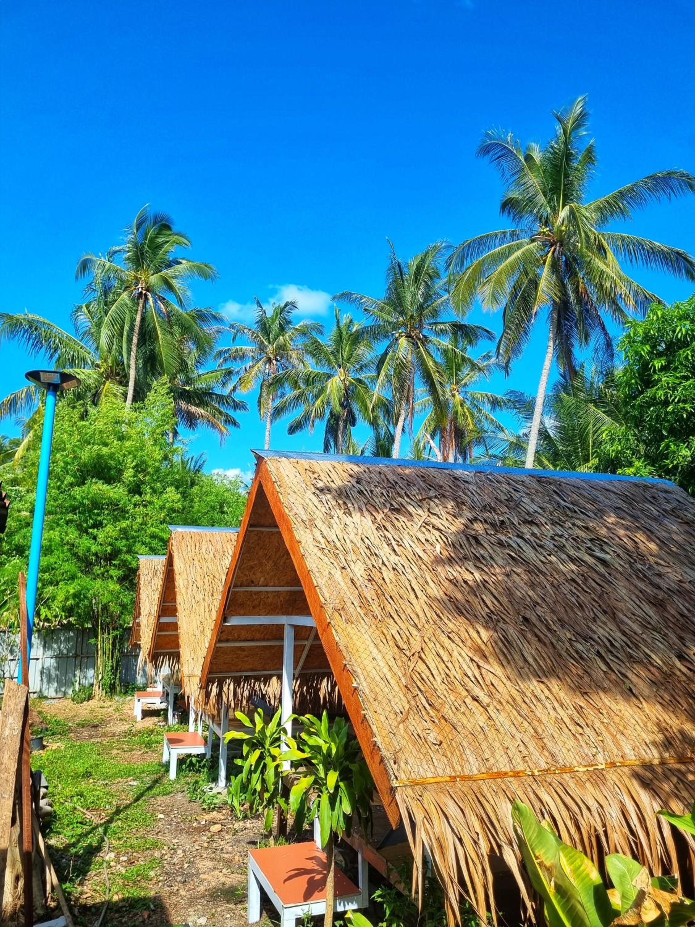 Backpack Hostel Kohyaoyai