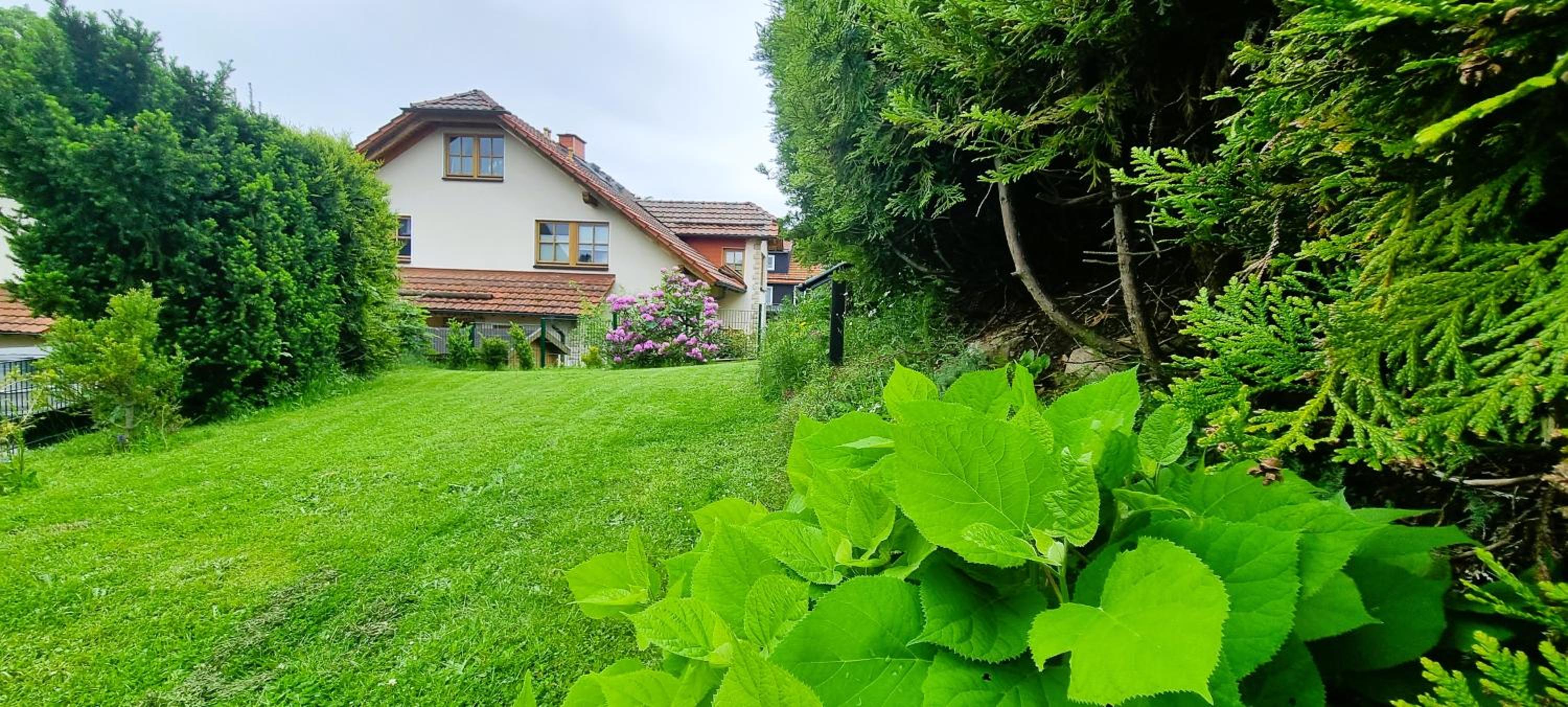Haus Siggi