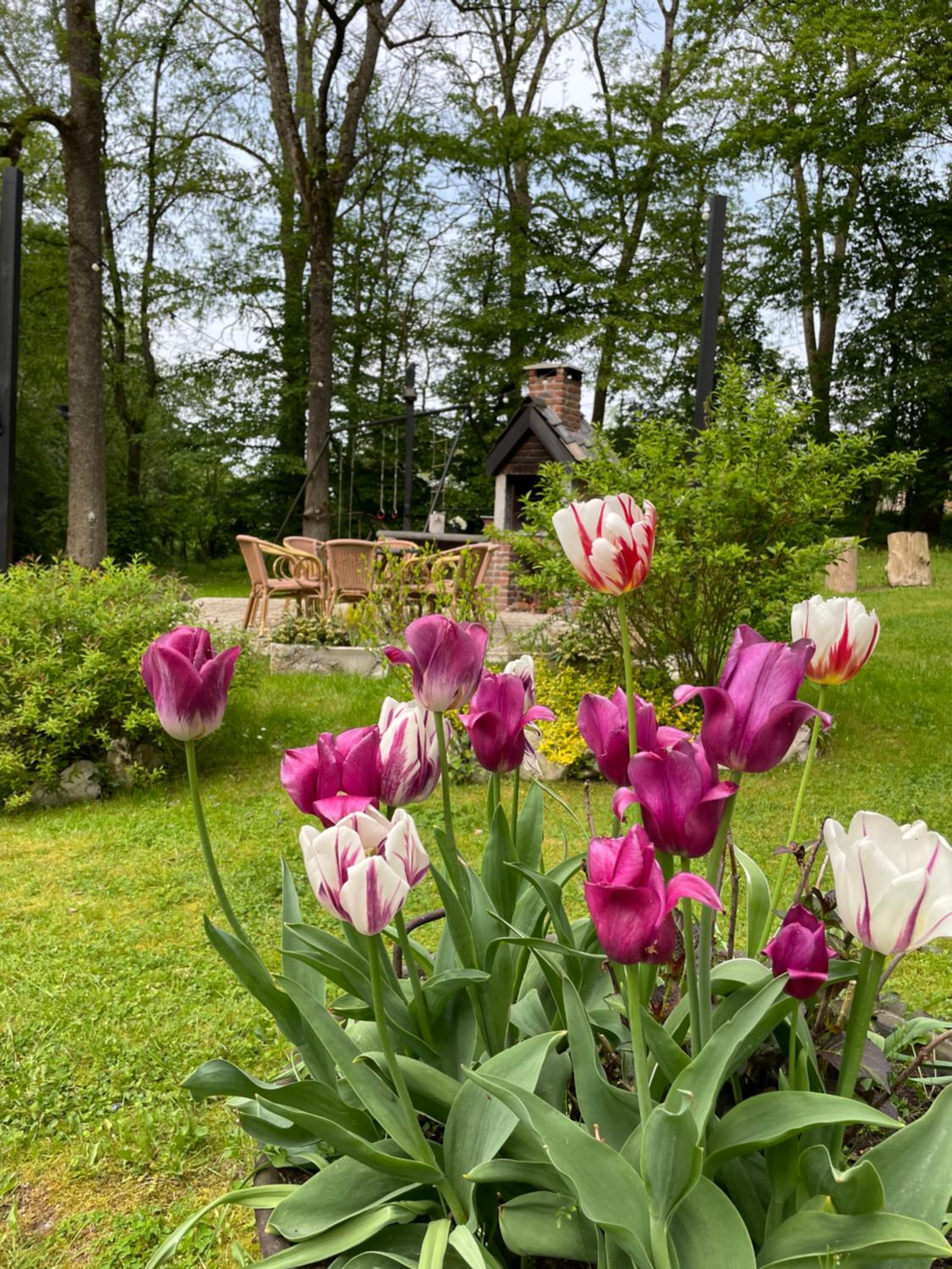 La villa Émilie