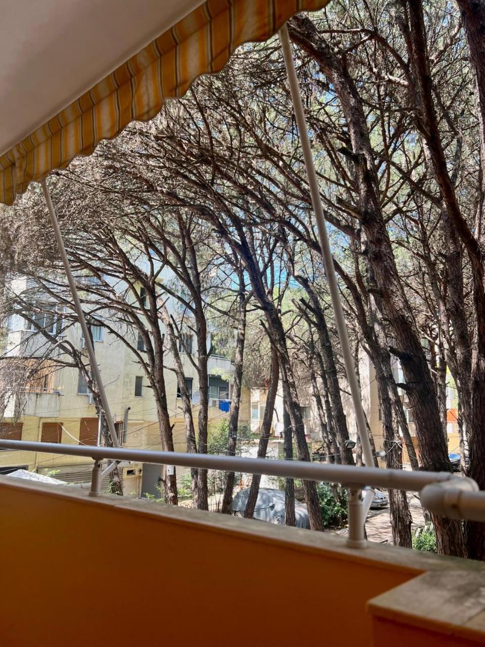 Coastal Comfort Apartament
