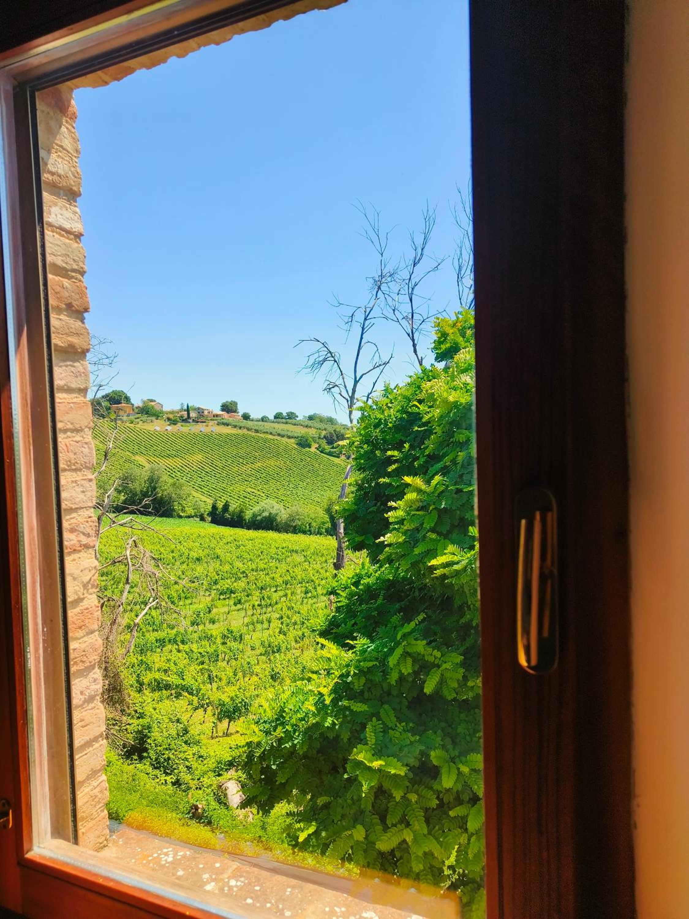 B&B Nel Vigneto view 4
