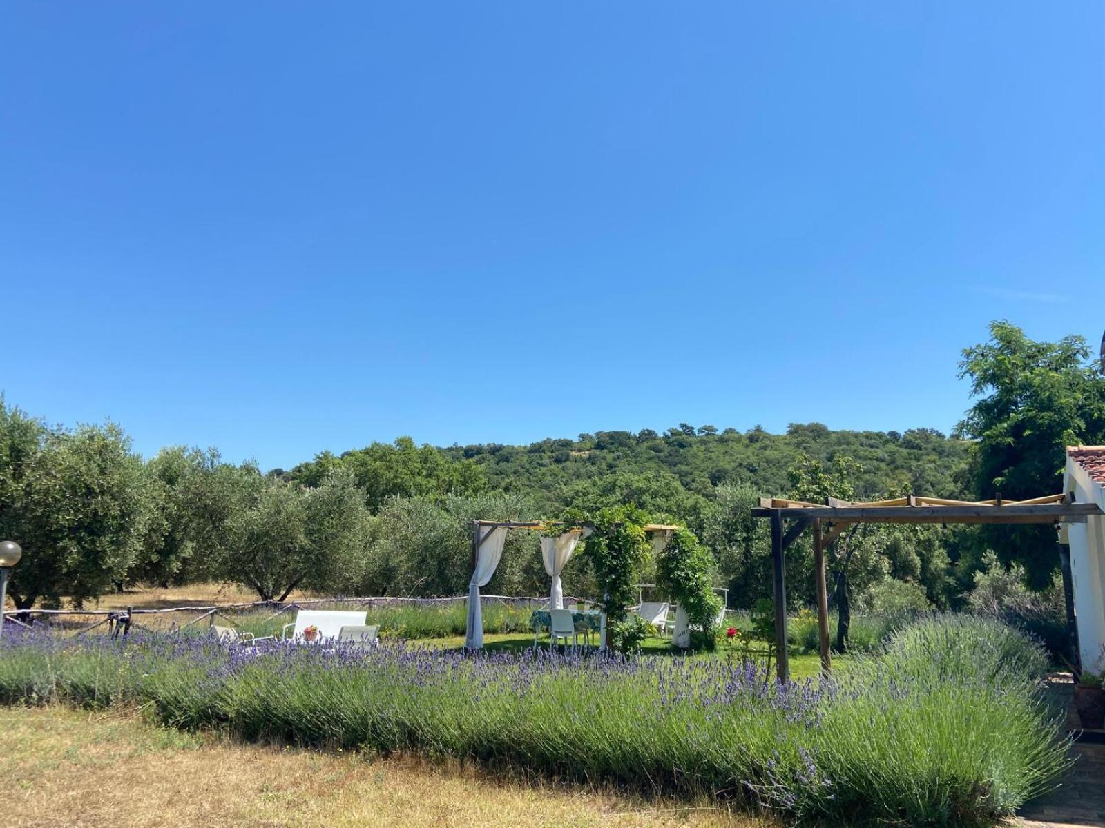 Tenuta Le Mandorlaie, Agriturismo in Scansano view 3