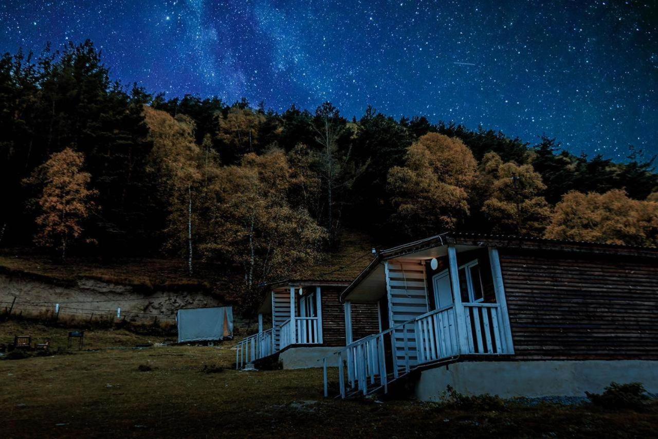 Forest Cabins