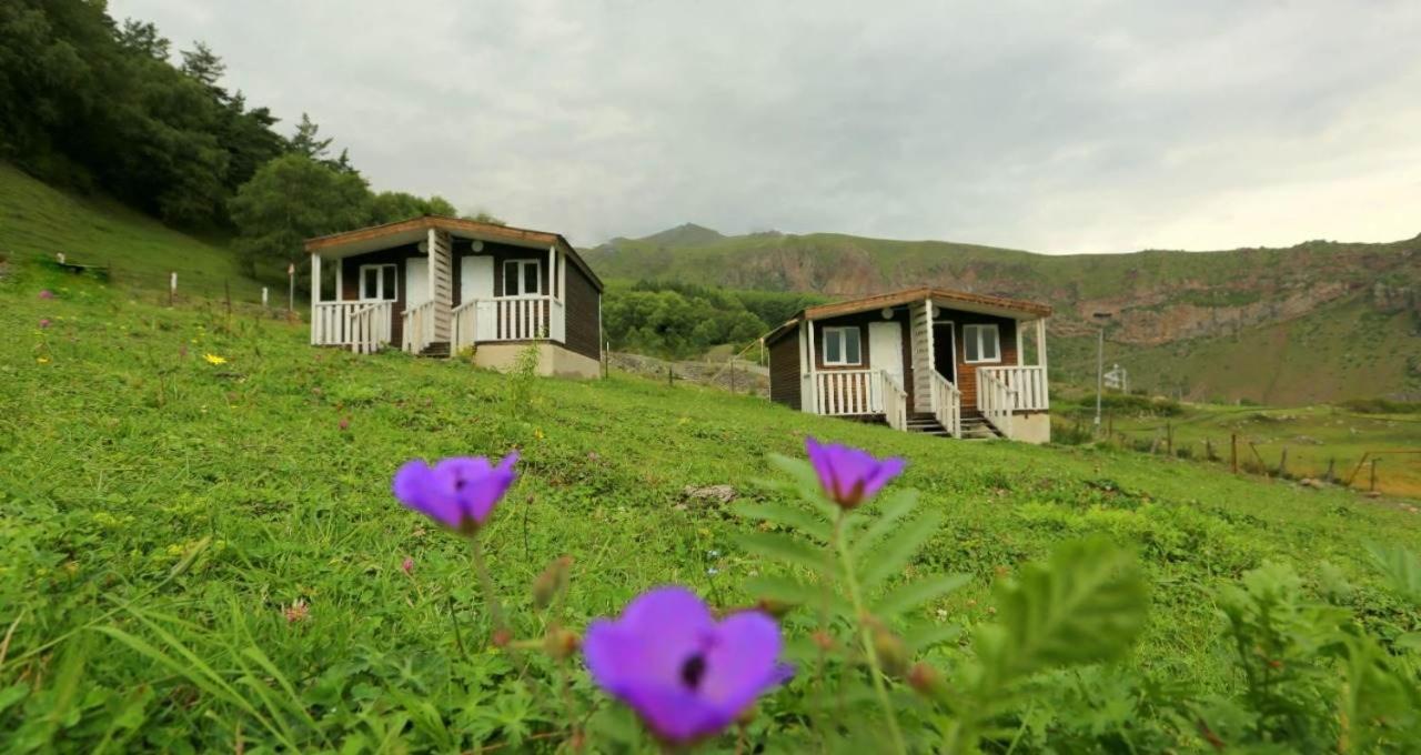 Forest Cabins