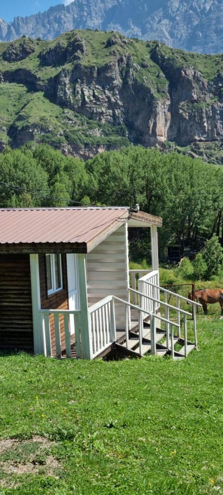 Forest Cabins